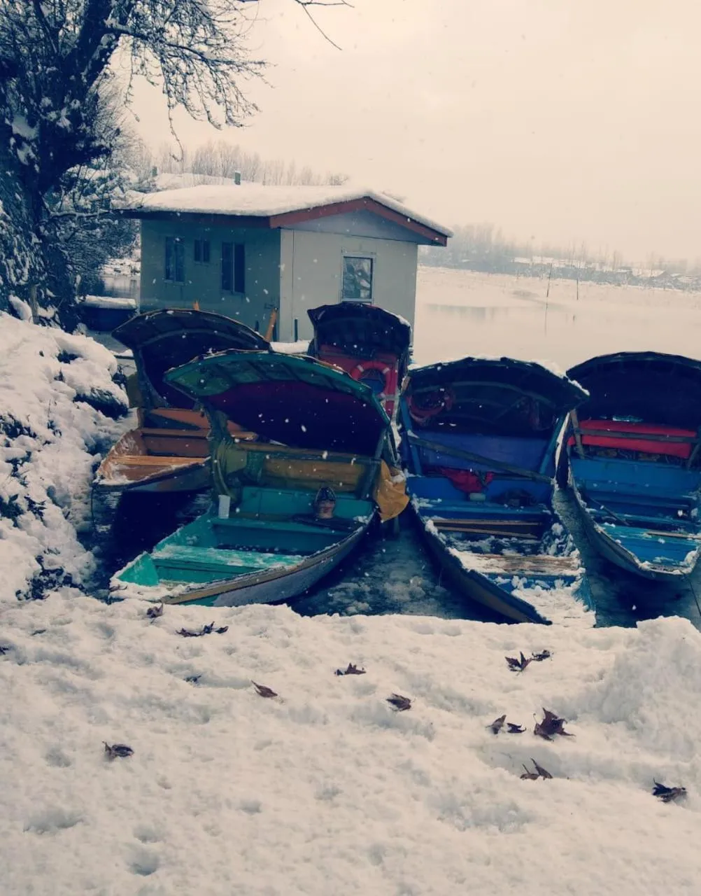 Winter in Kings Houseboats