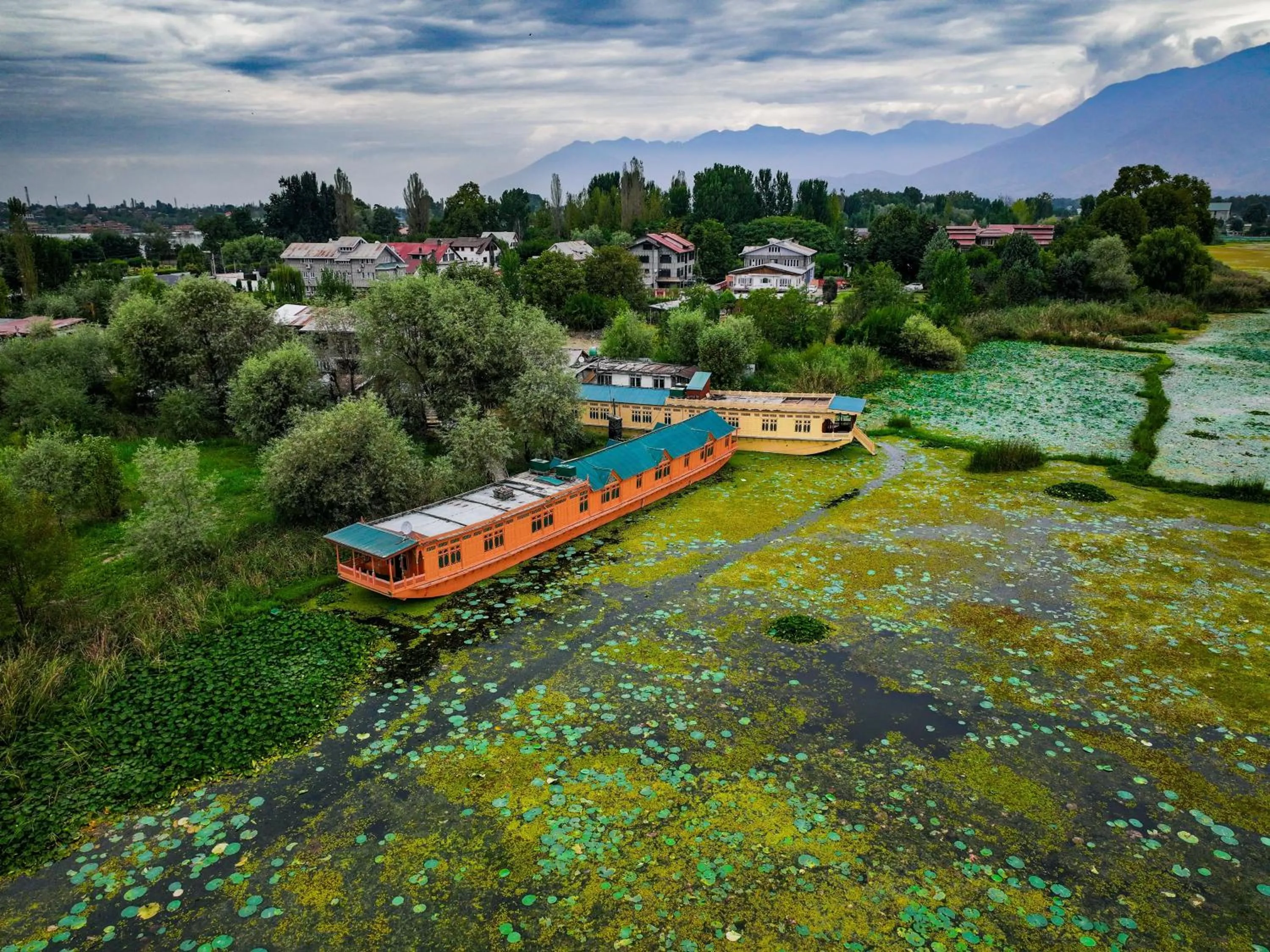 View (from property/room) in Kings Houseboats