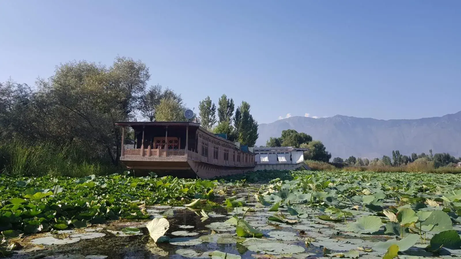 View (from property/room) in Kings Houseboats View (from property/room) in Kings Houseboats