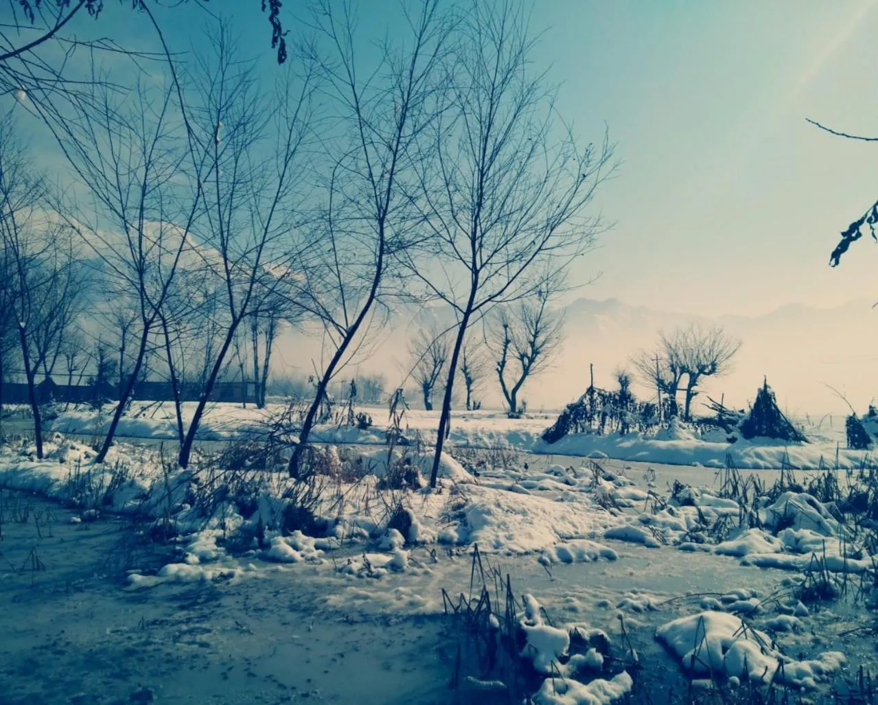 Winter in Kings Houseboats