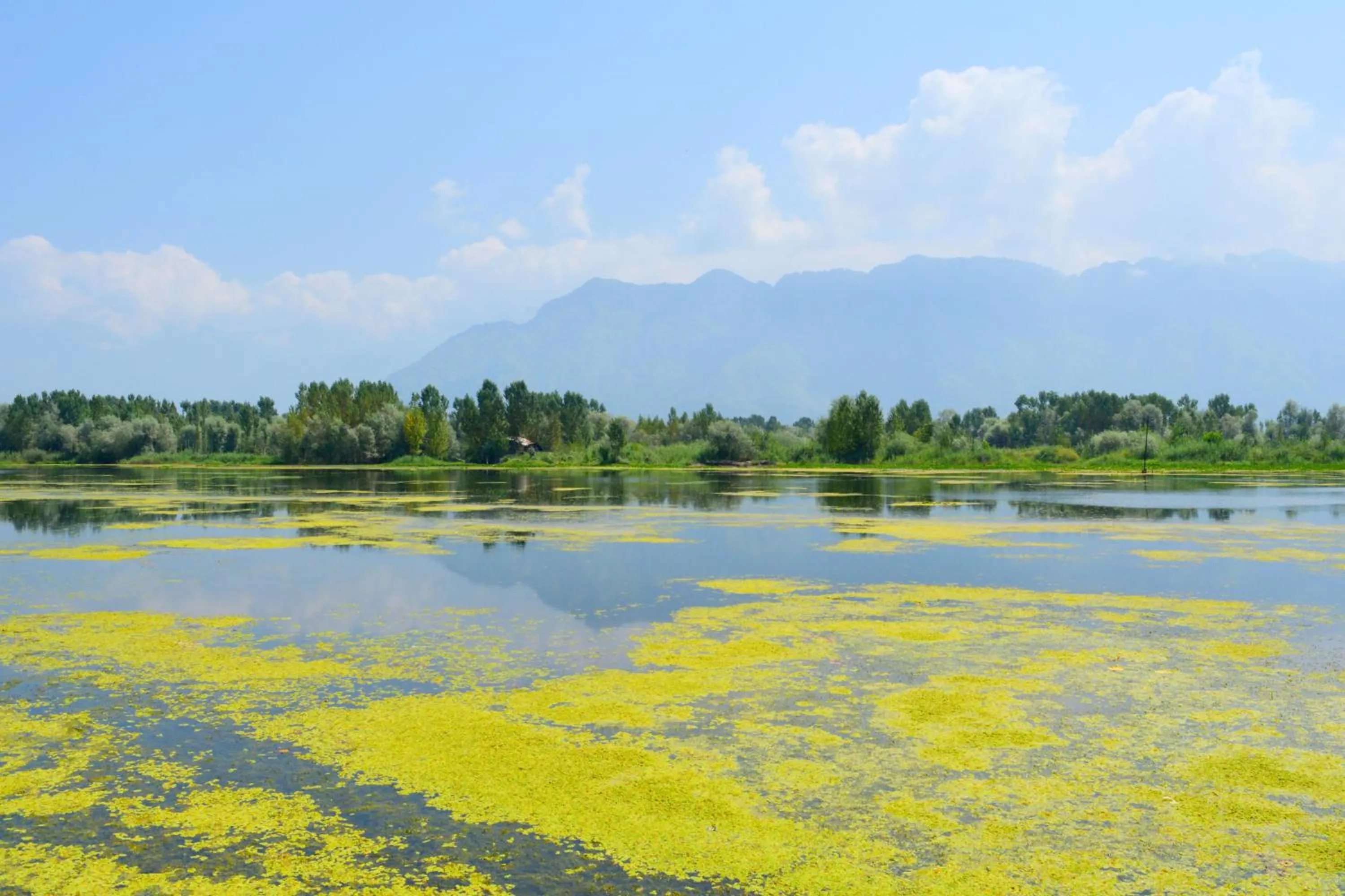 Mountain view in Kings Houseboats