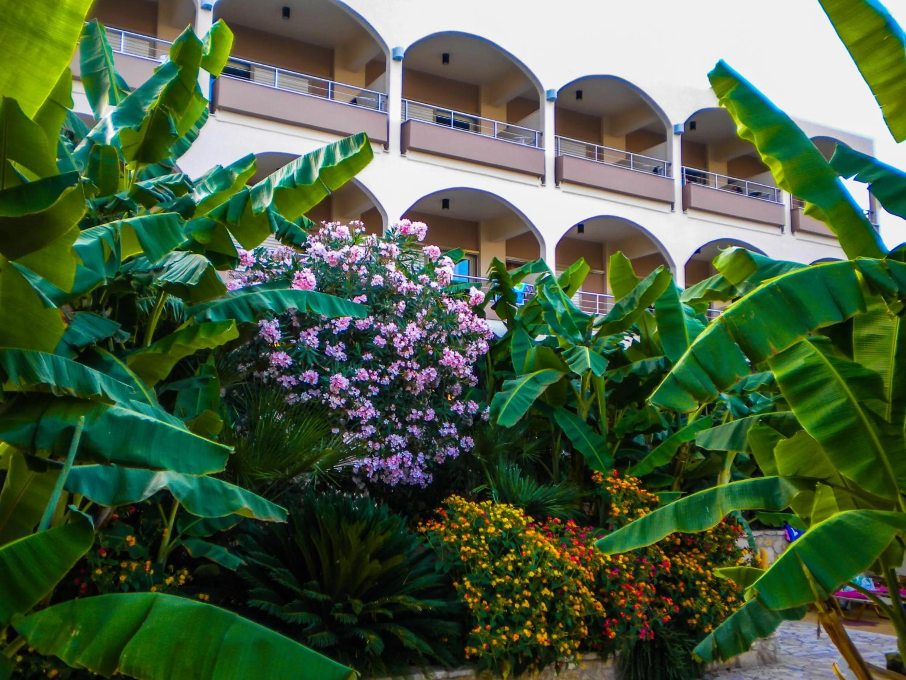 Garden in Paradise Lost Hotel-Apartments