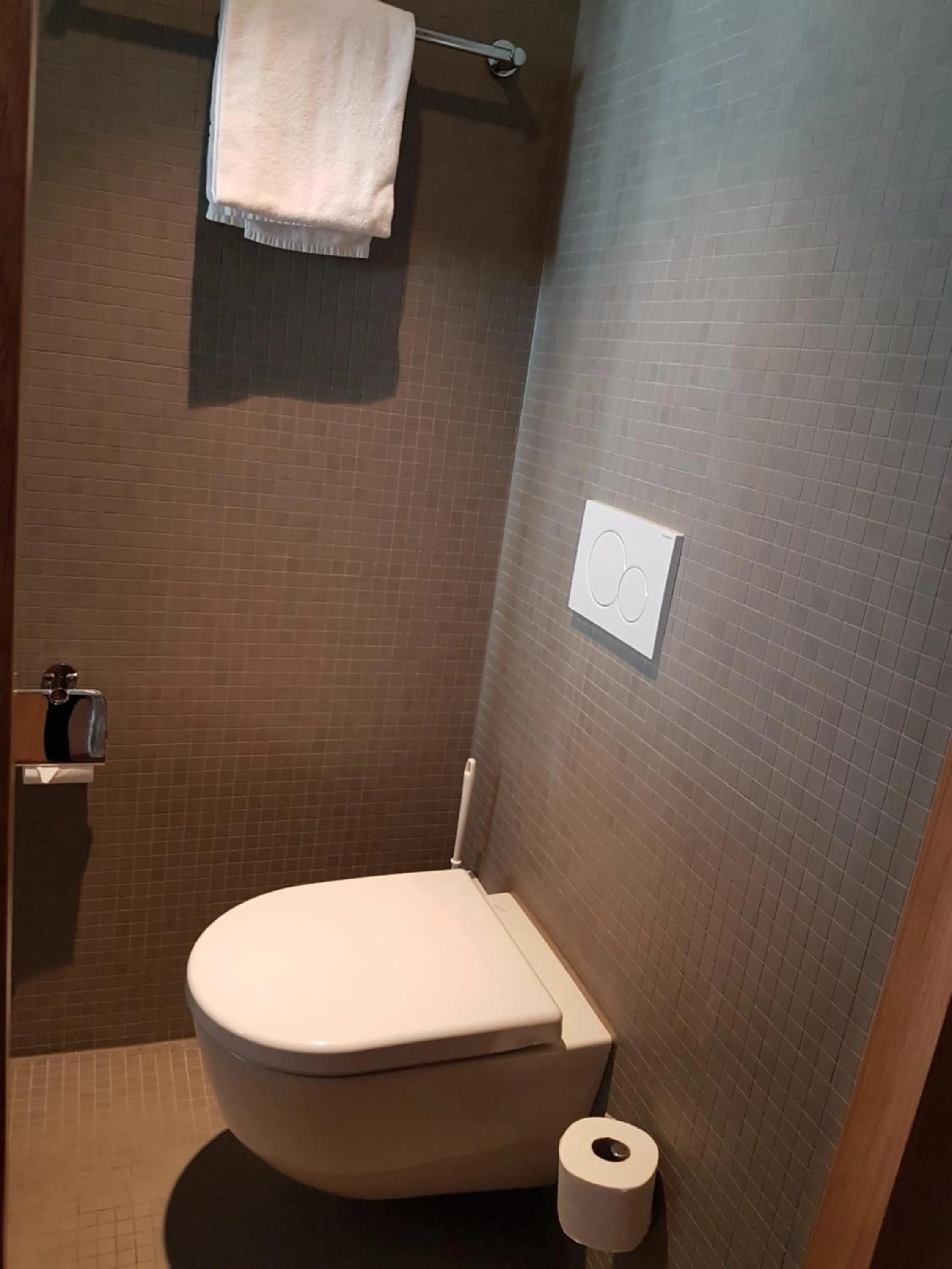 Toilet in East West Hotel Basel