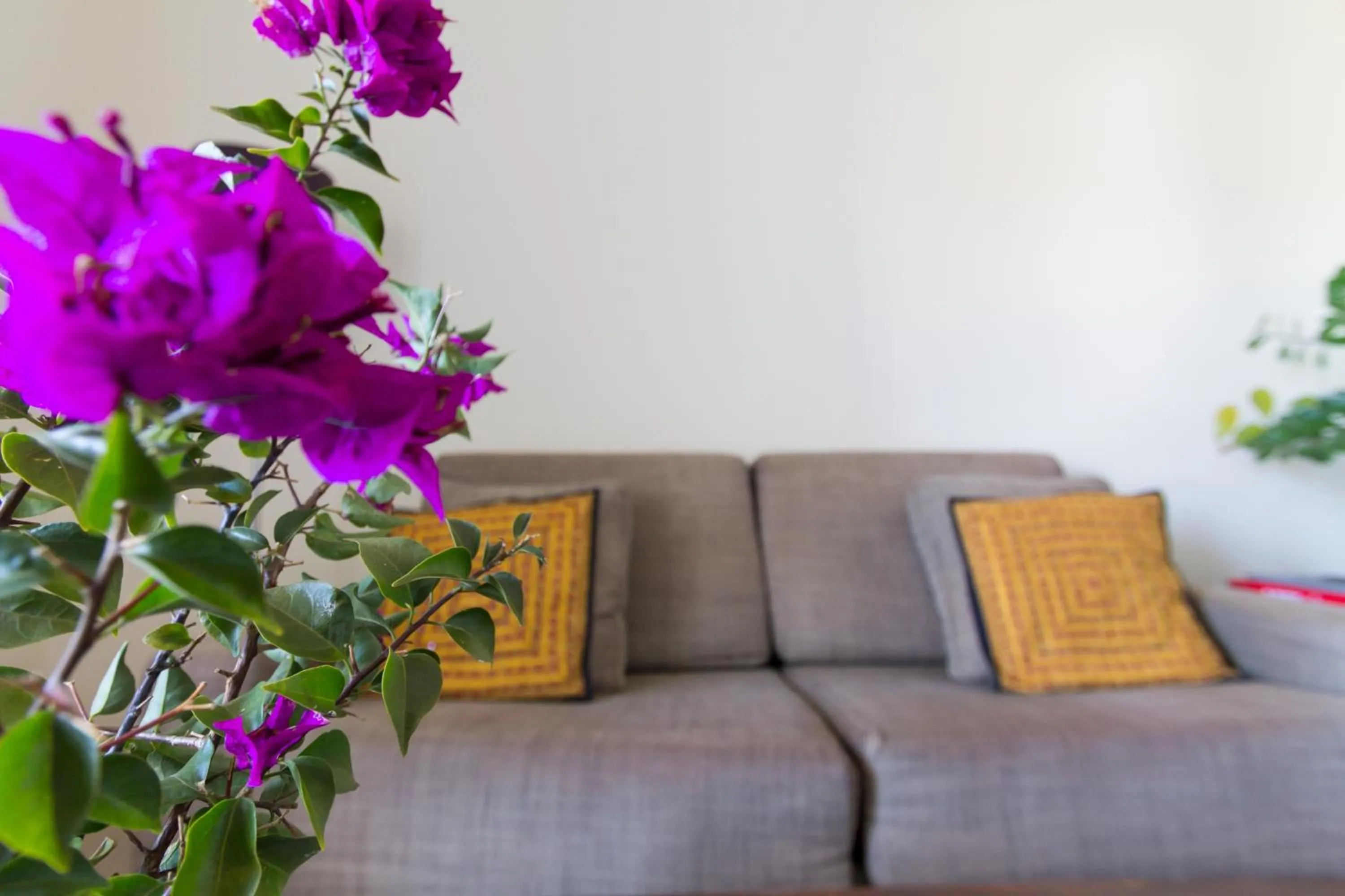 Living room in Bitacora