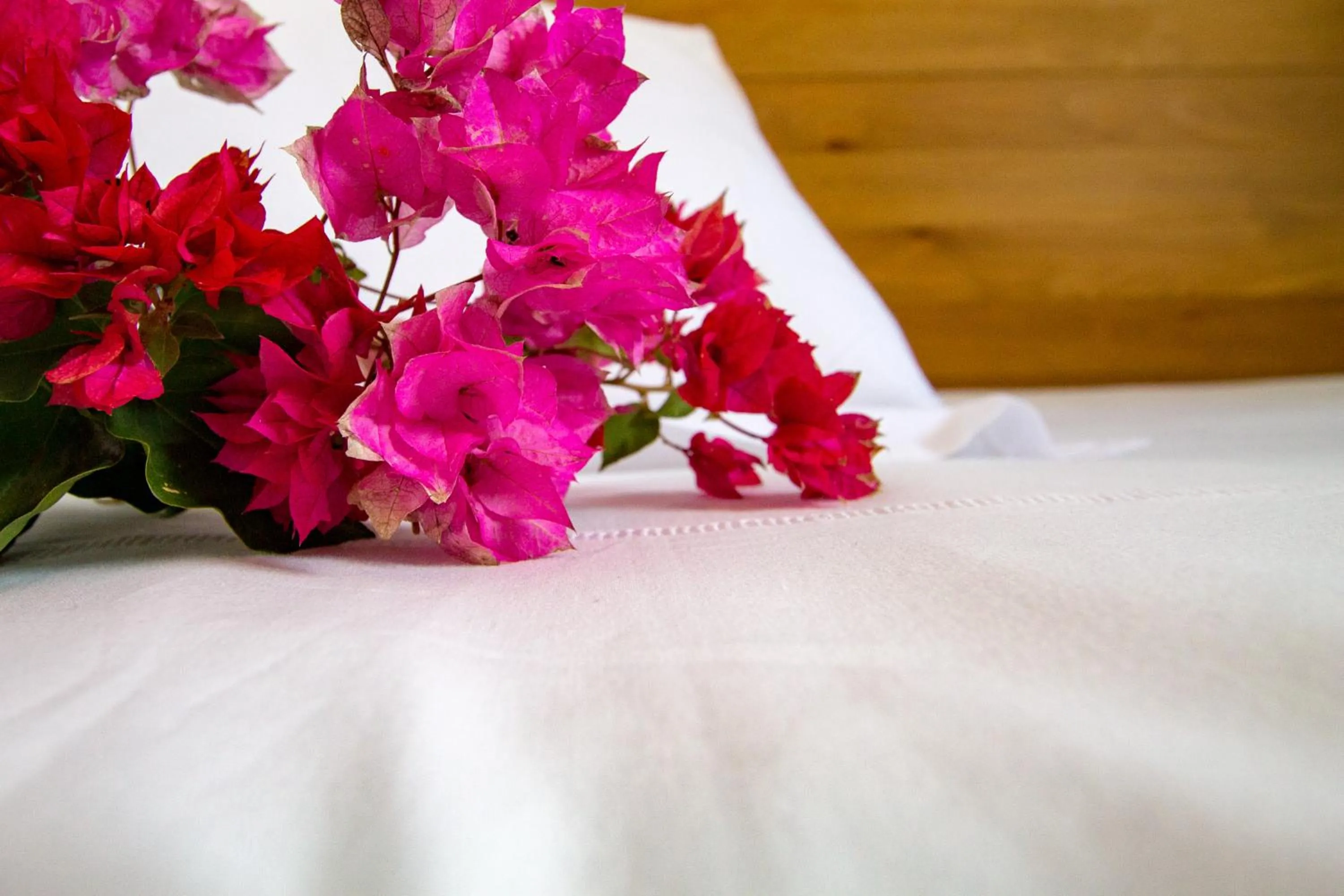 Decorative detail, Bed in Bitacora
