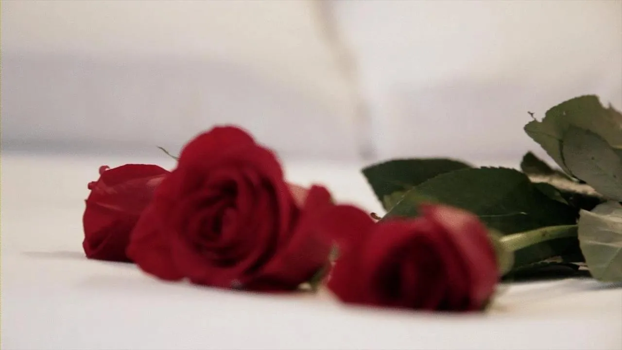 Photo of the whole room in Hotel Iris