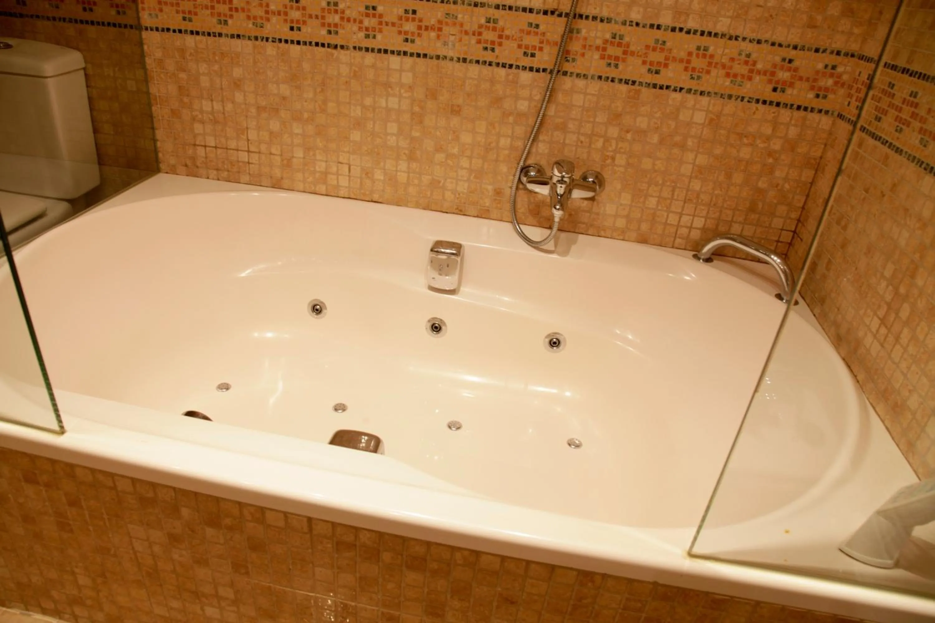 Bathroom in Hotel Iris