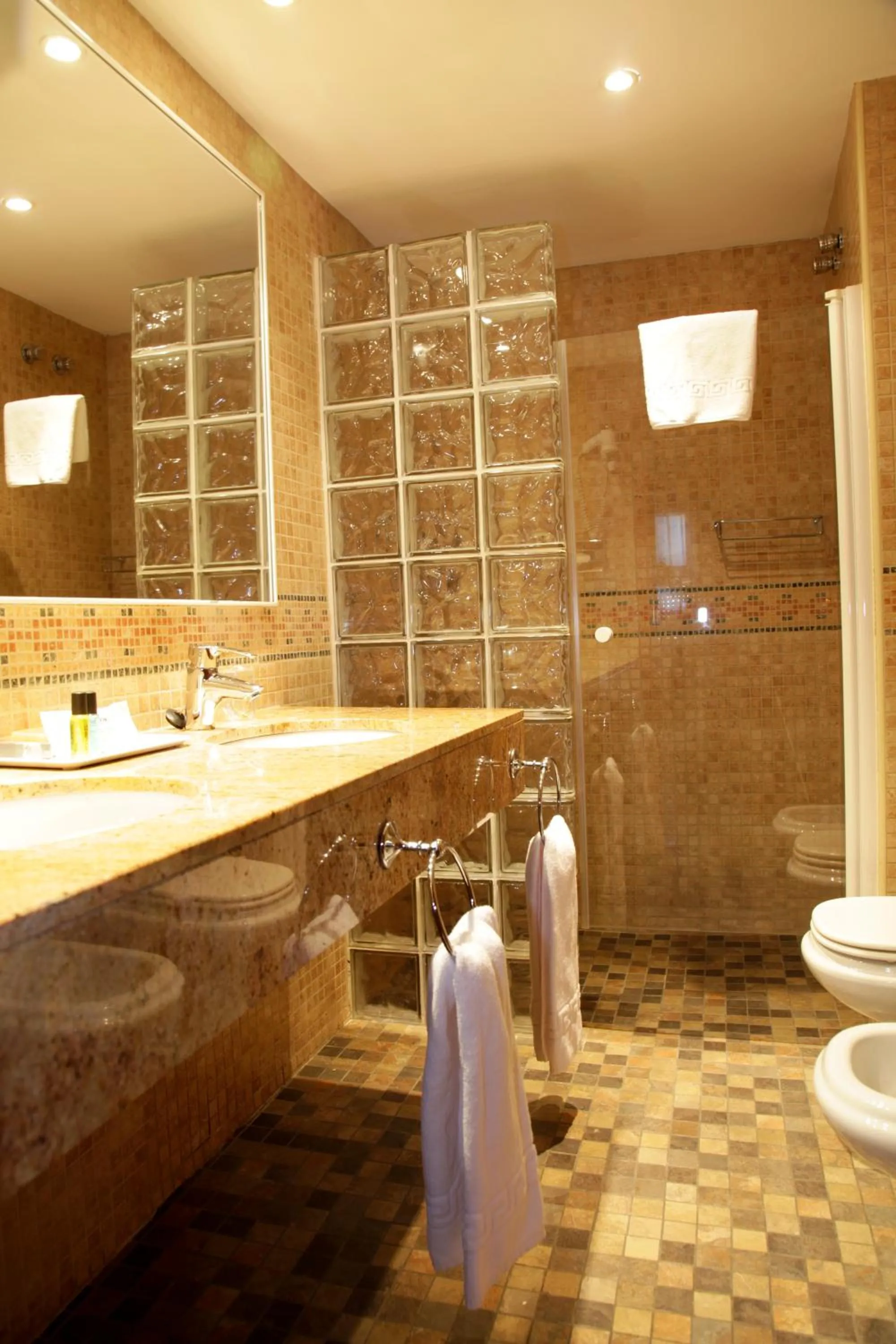 Bathroom in Hotel Iris