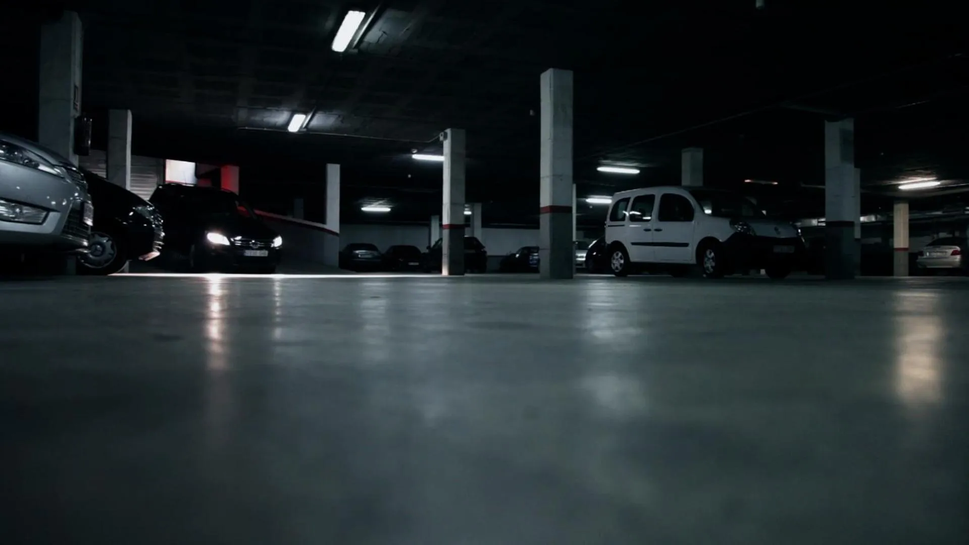 Area and facilities in Hotel Iris