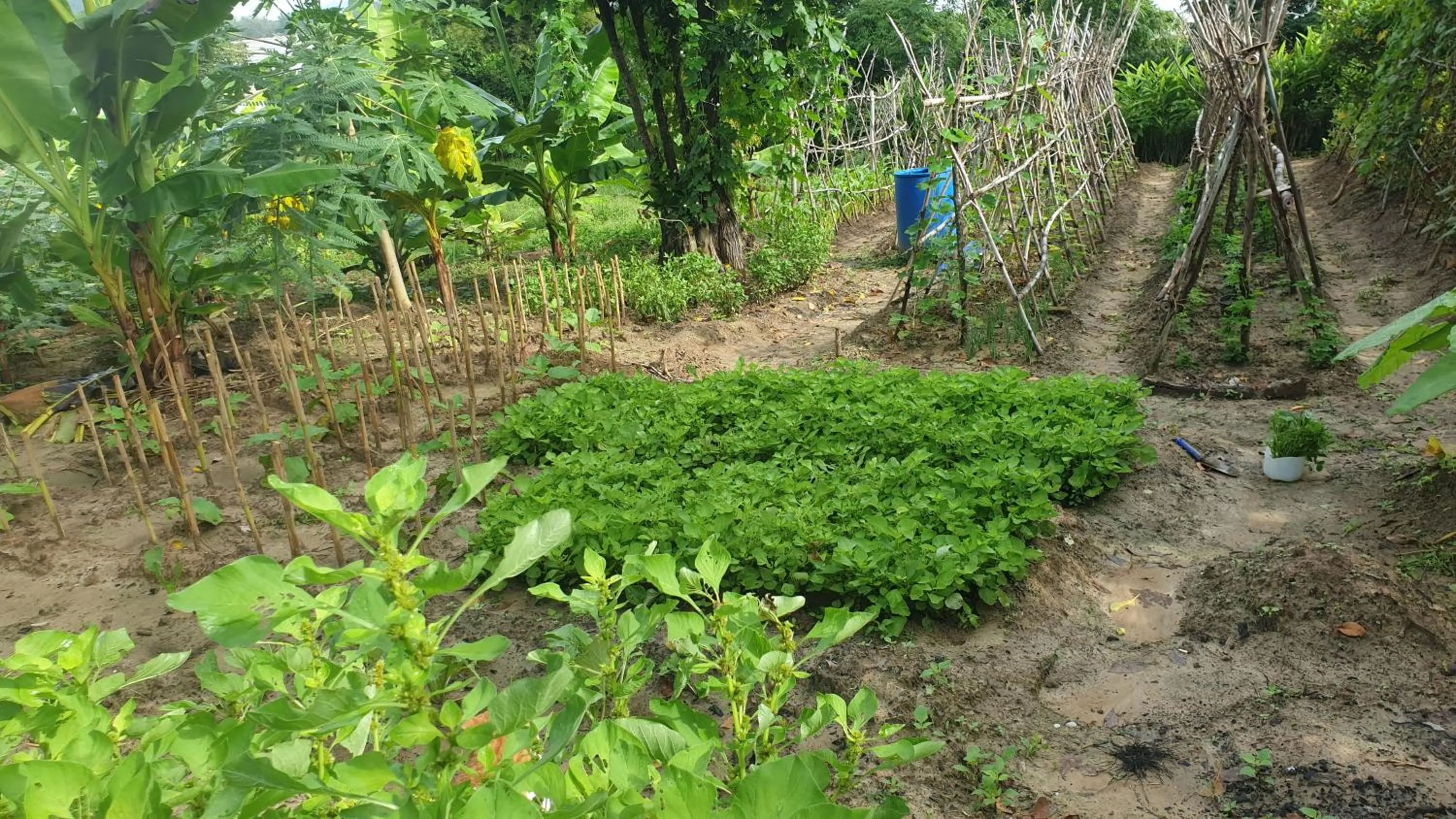 Esmeralda View Resort - SHA Extra Plus