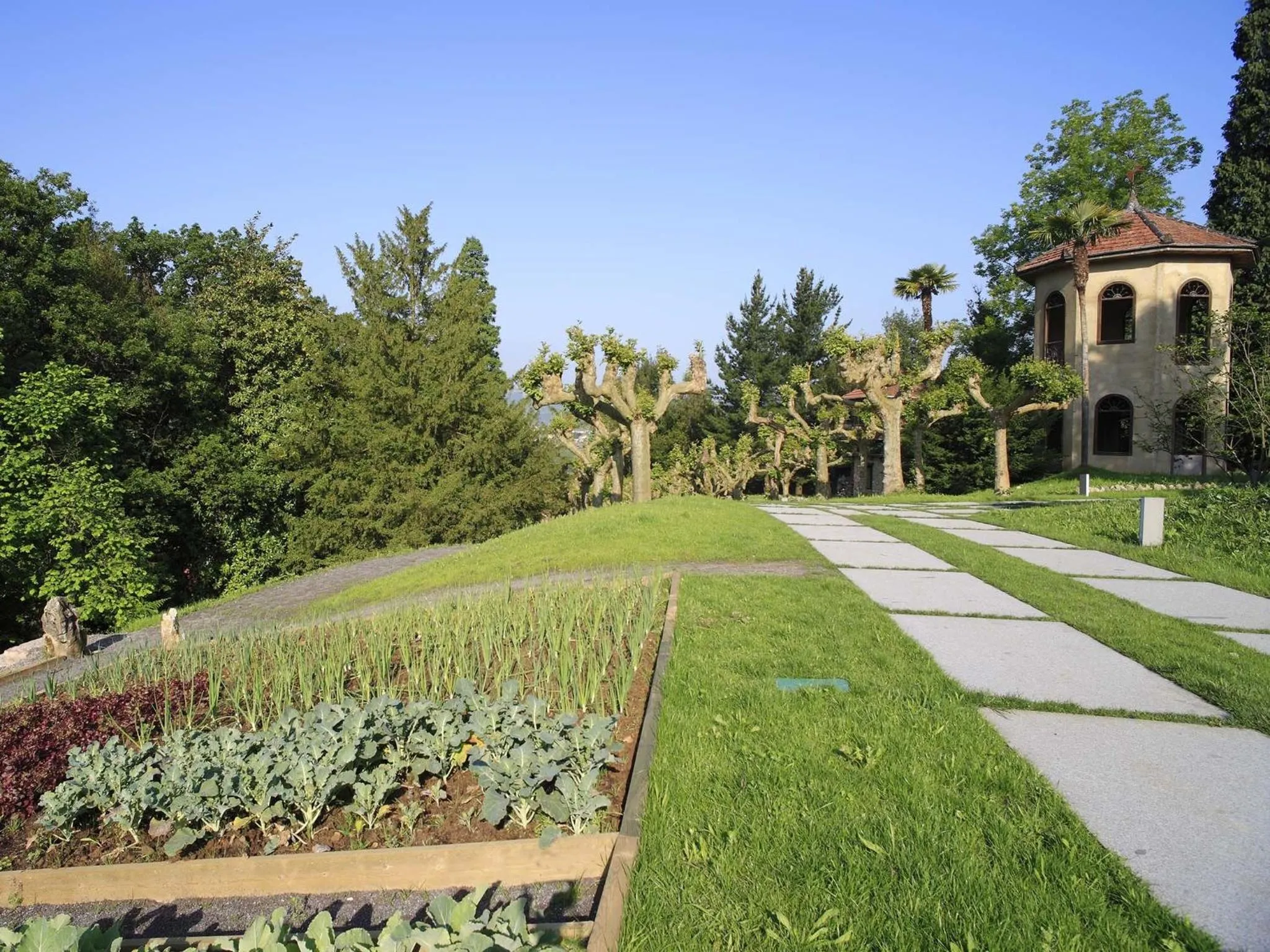 Day in Blau Gran Hotel Las Caldas - Adults Only