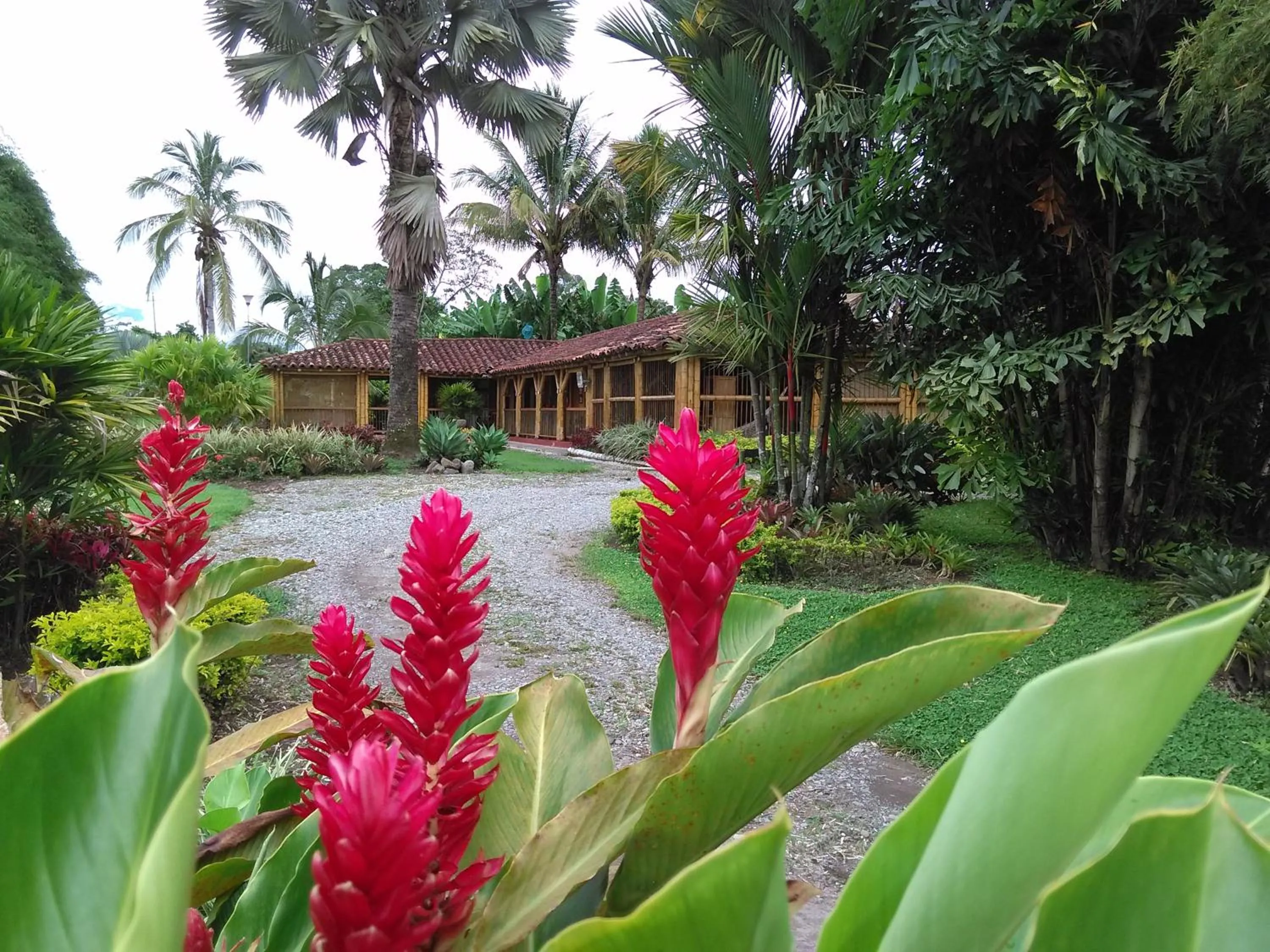 Finca Hotel La Negrita