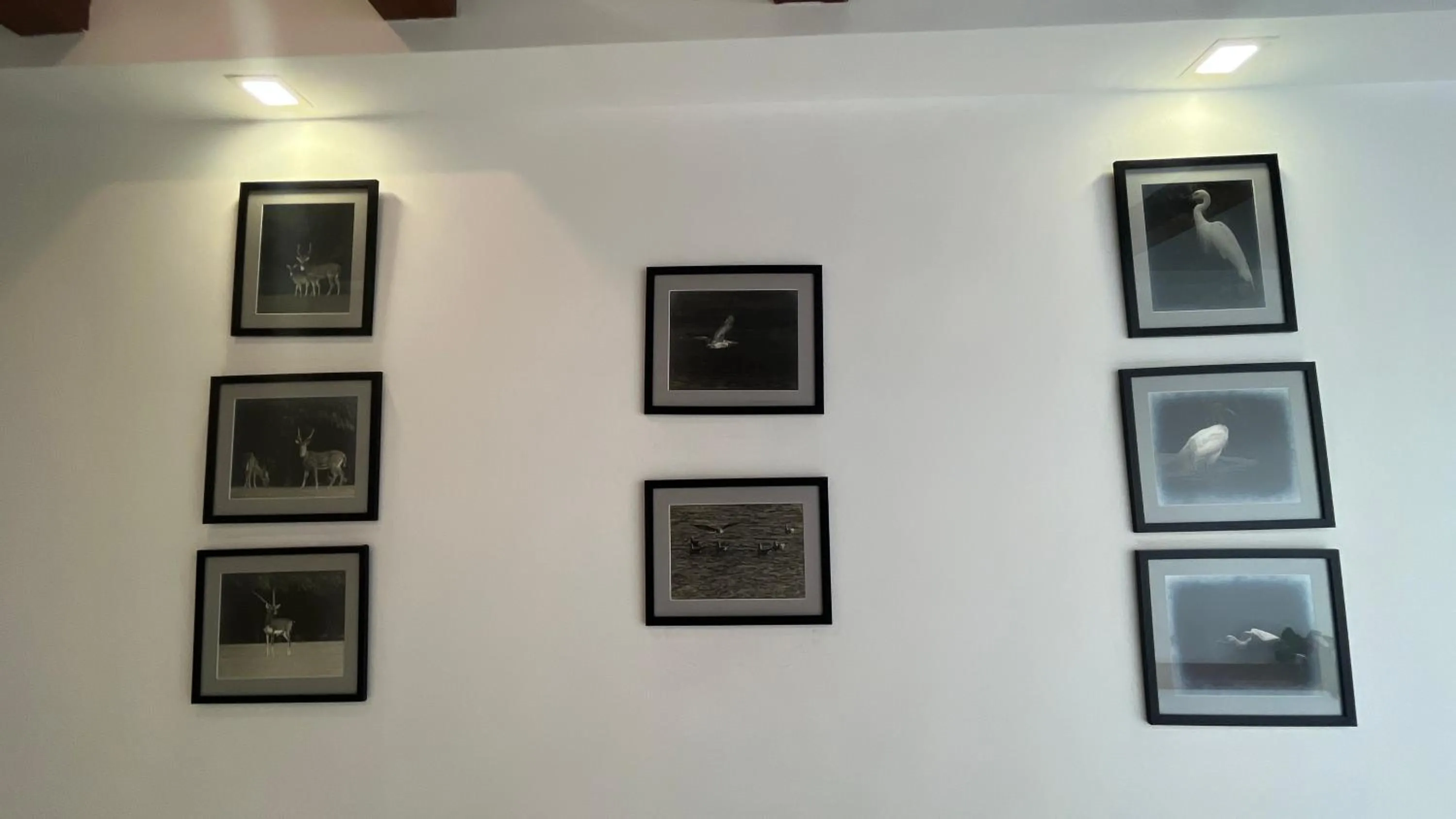 Decorative detail in Maroma Suites ECR