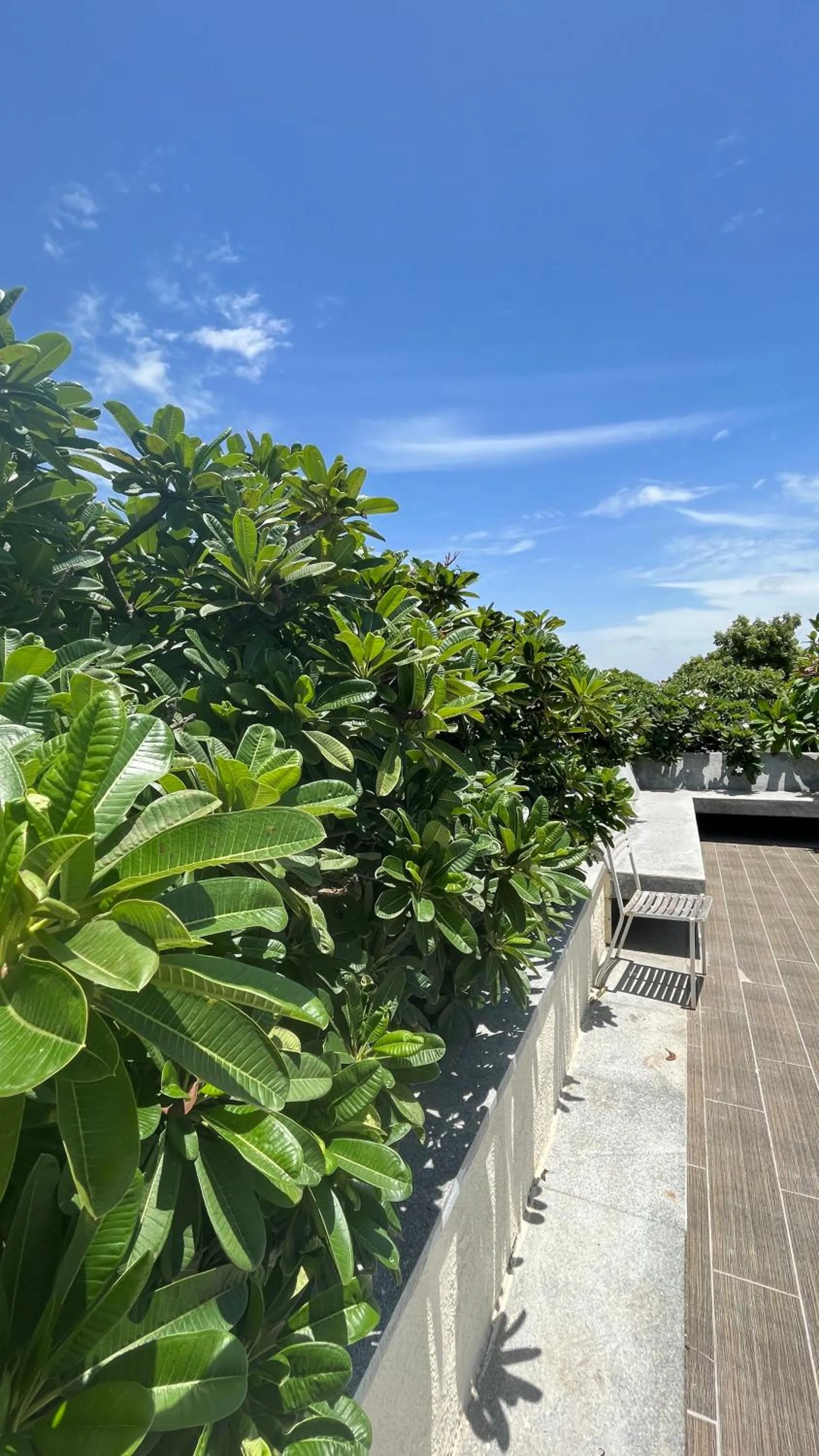 Garden in Maroma Suites ECR