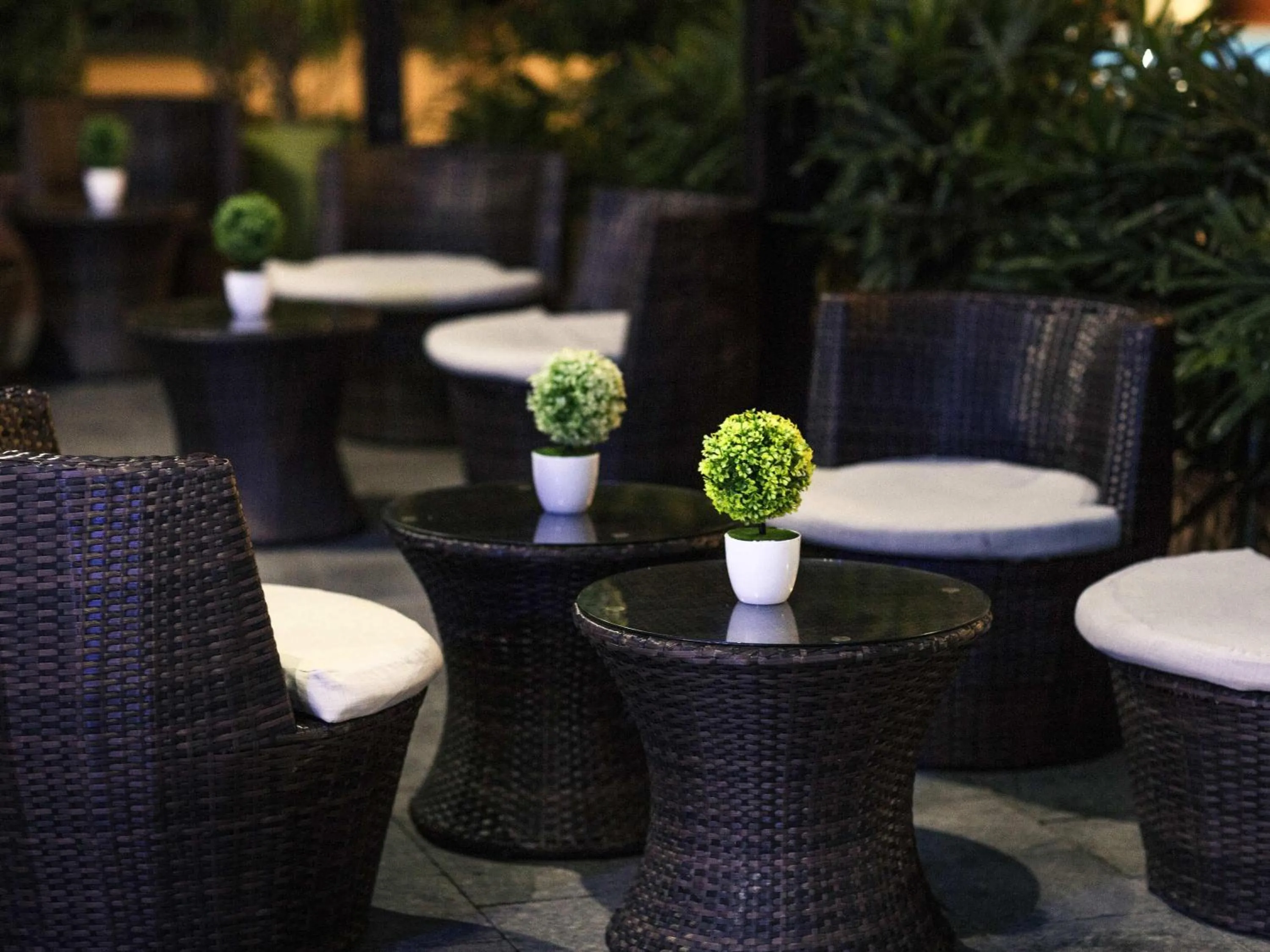 Lounge or bar in Mercure Cayenne Royal Amazonia