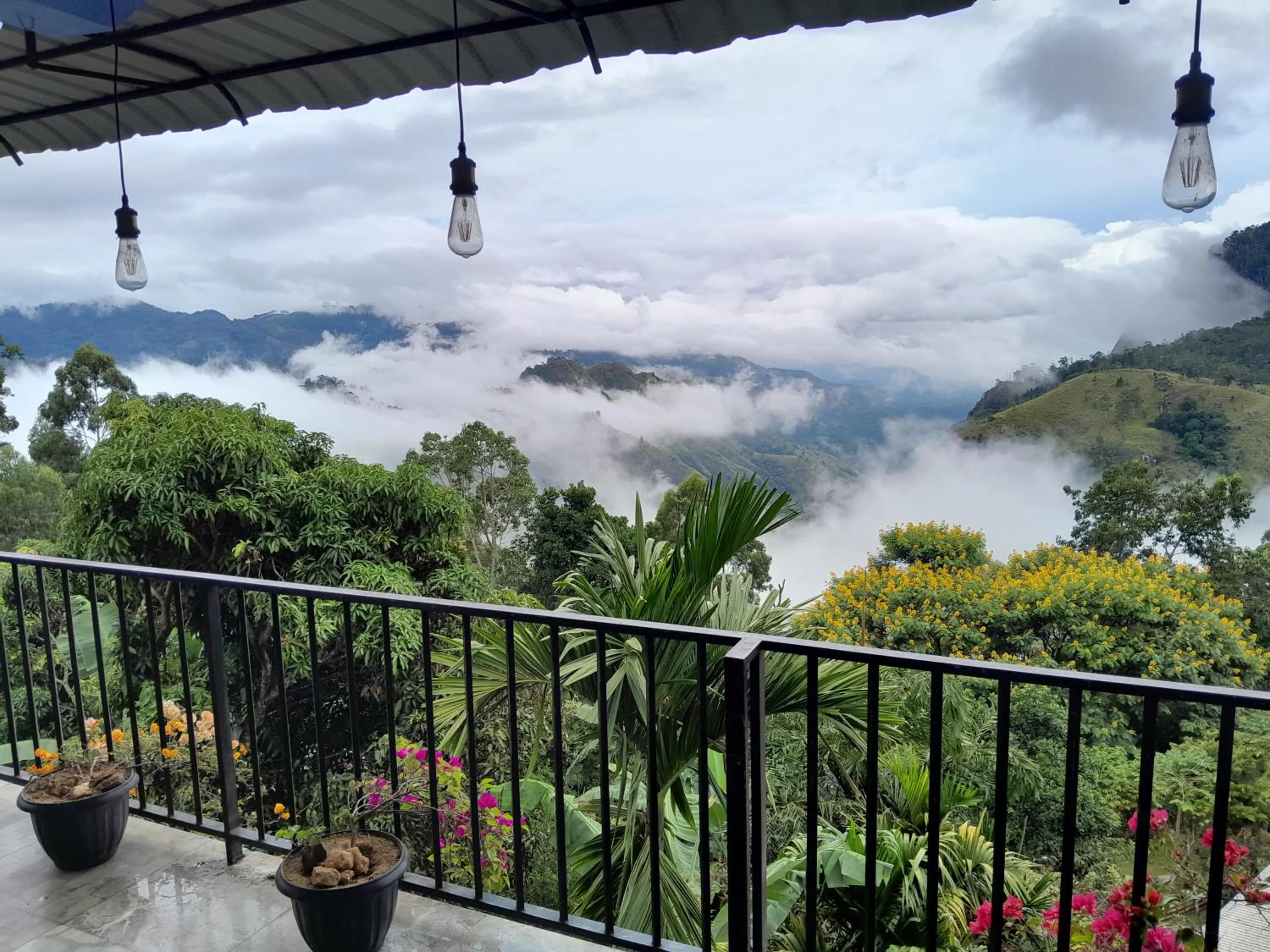 Golden View Guest Ella