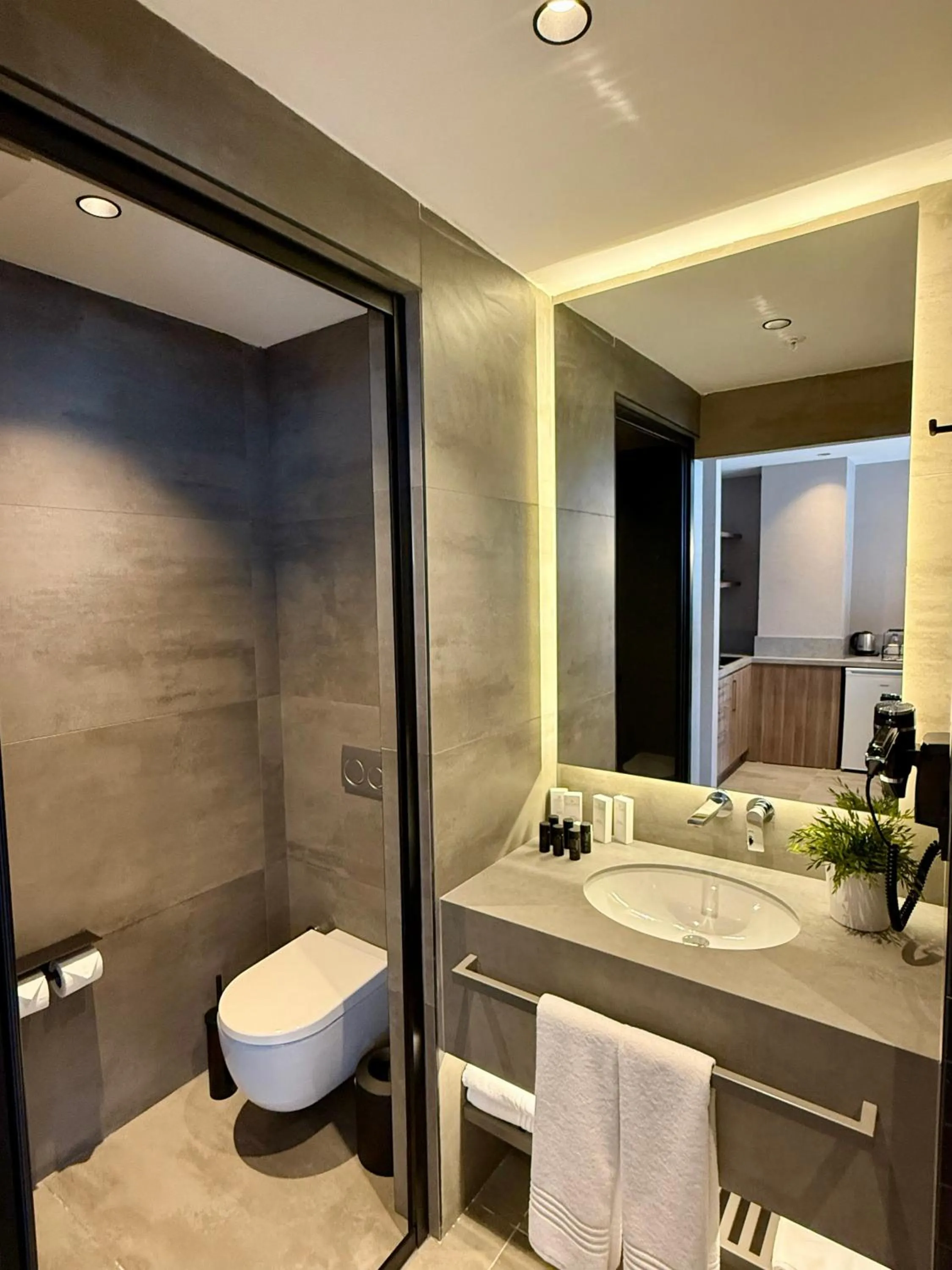 Toilet in Cityloft 147