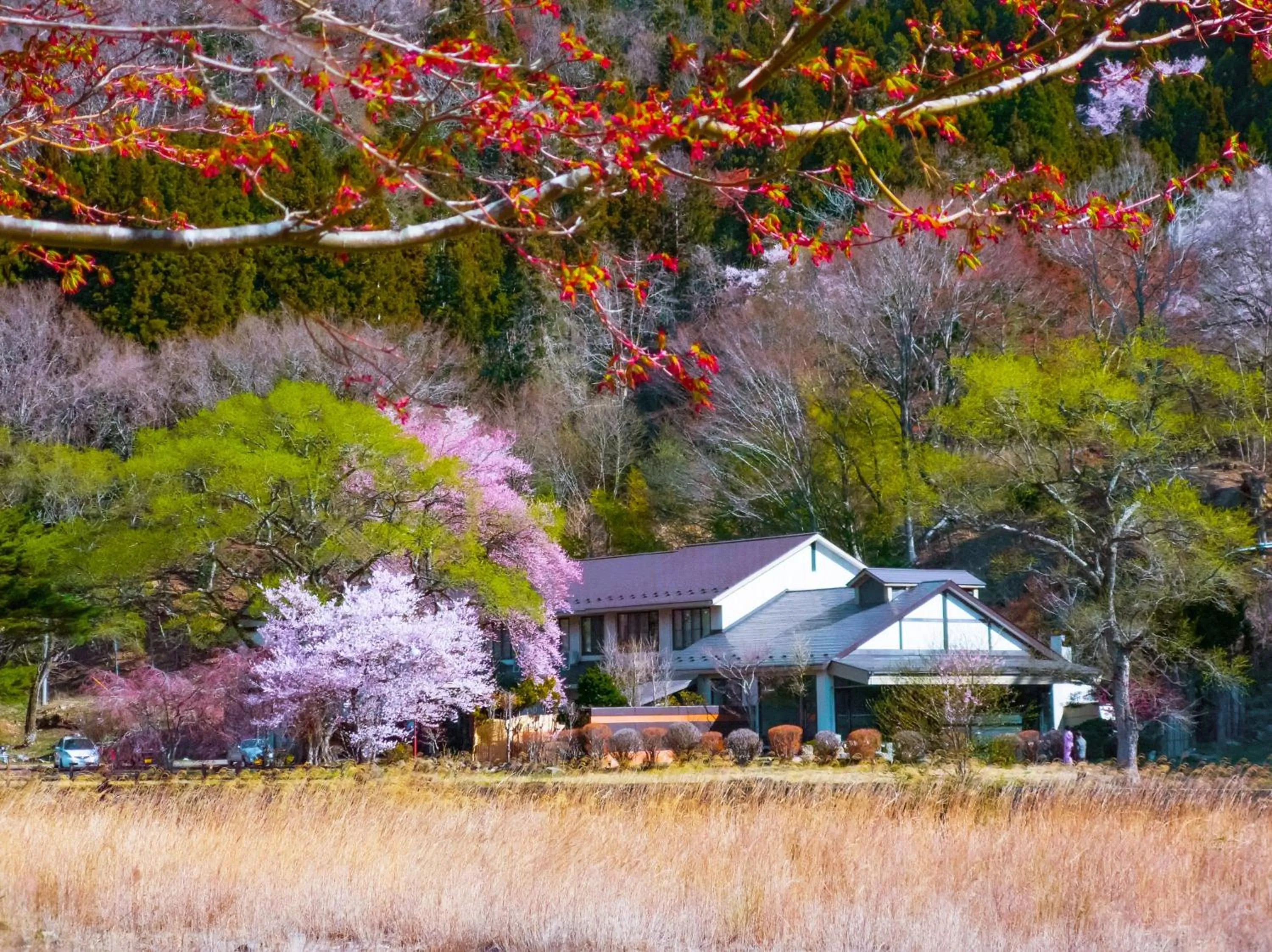 Property building in Akasawa Onsen Ryokan