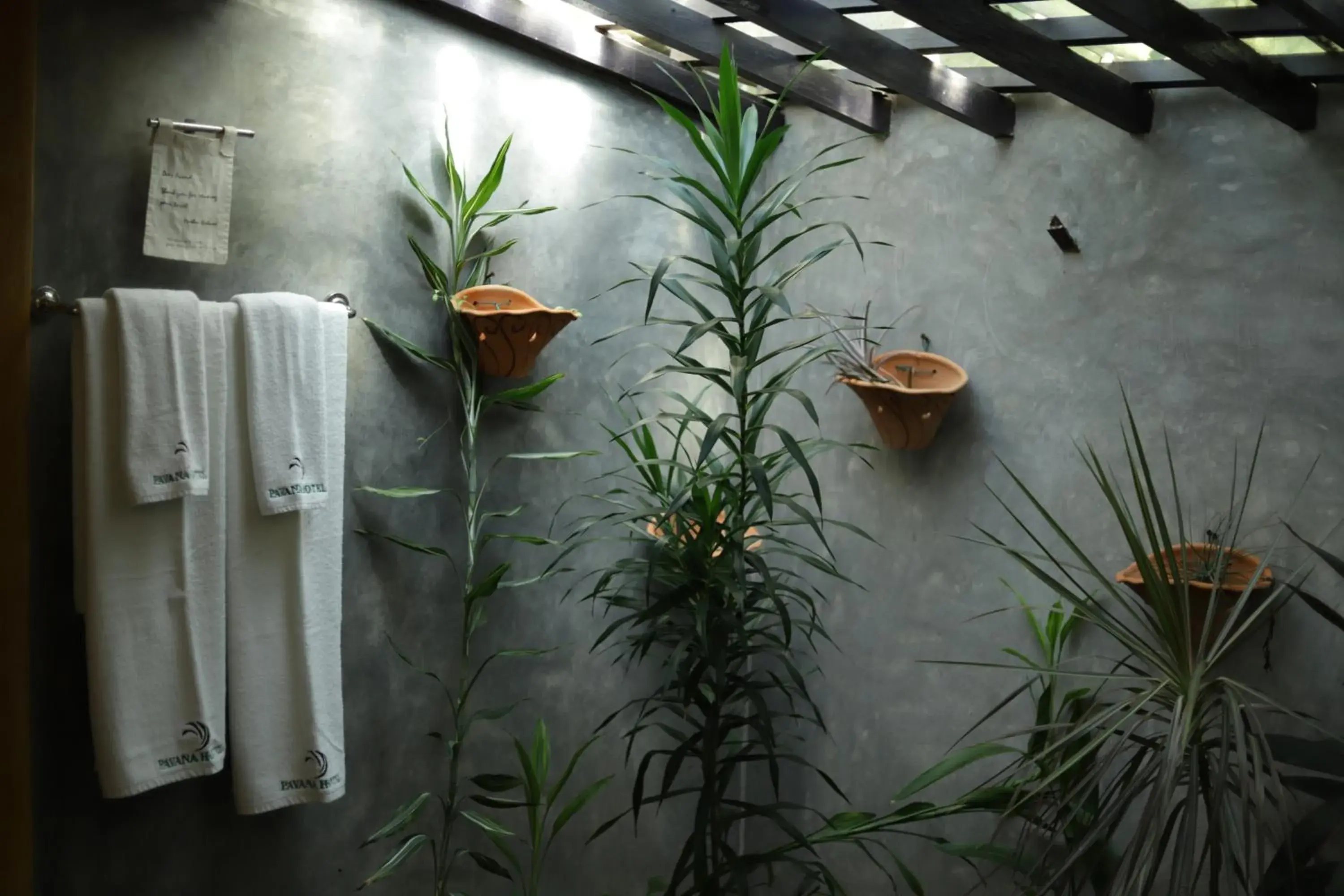 Single Room with Garden View in Pavana Hotel Single Room with Garden View in Pavana Hotel