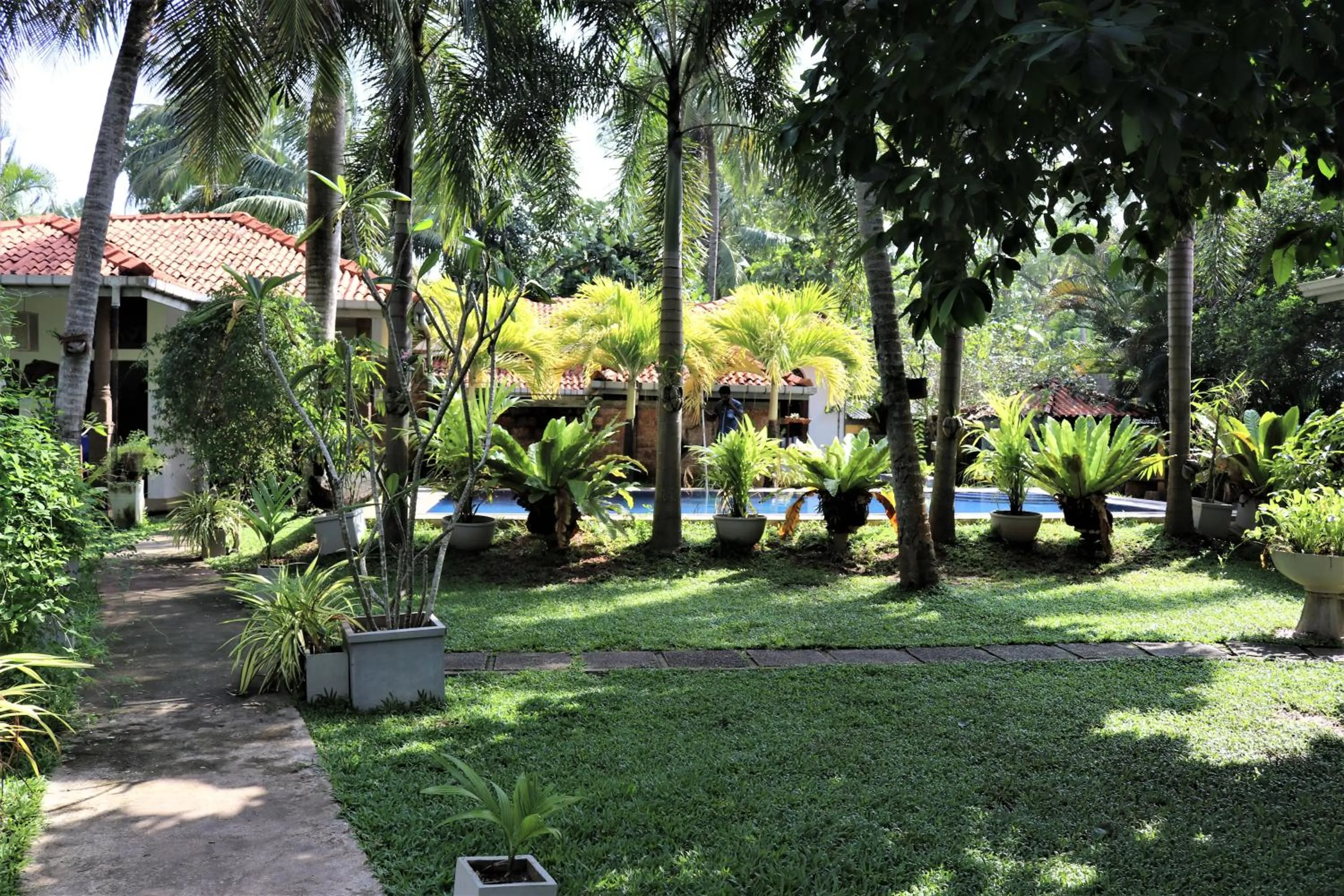 Garden in Pavana Hotel