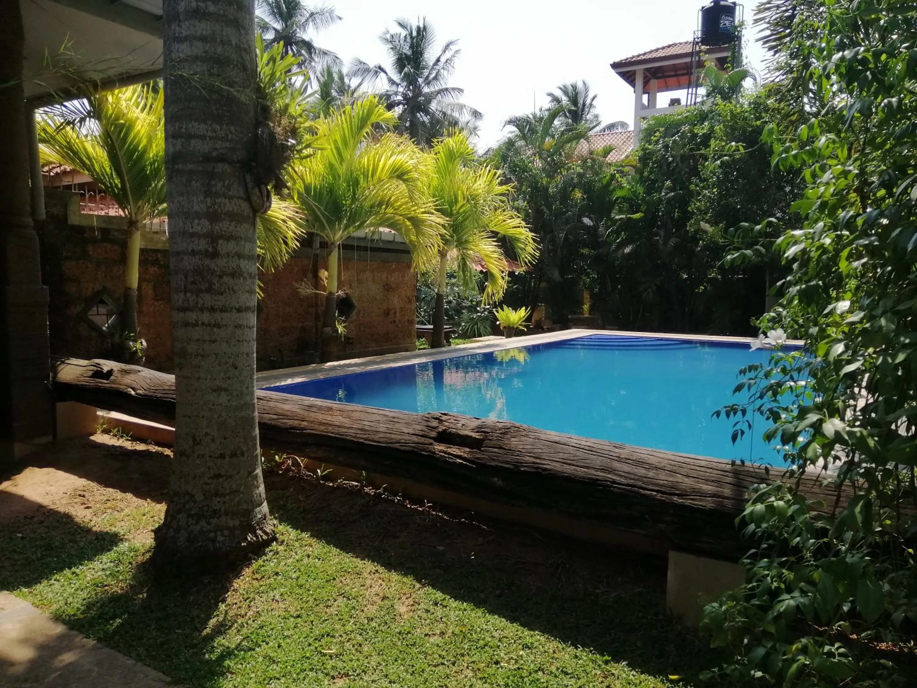 Swimming pool in Pavana Hotel