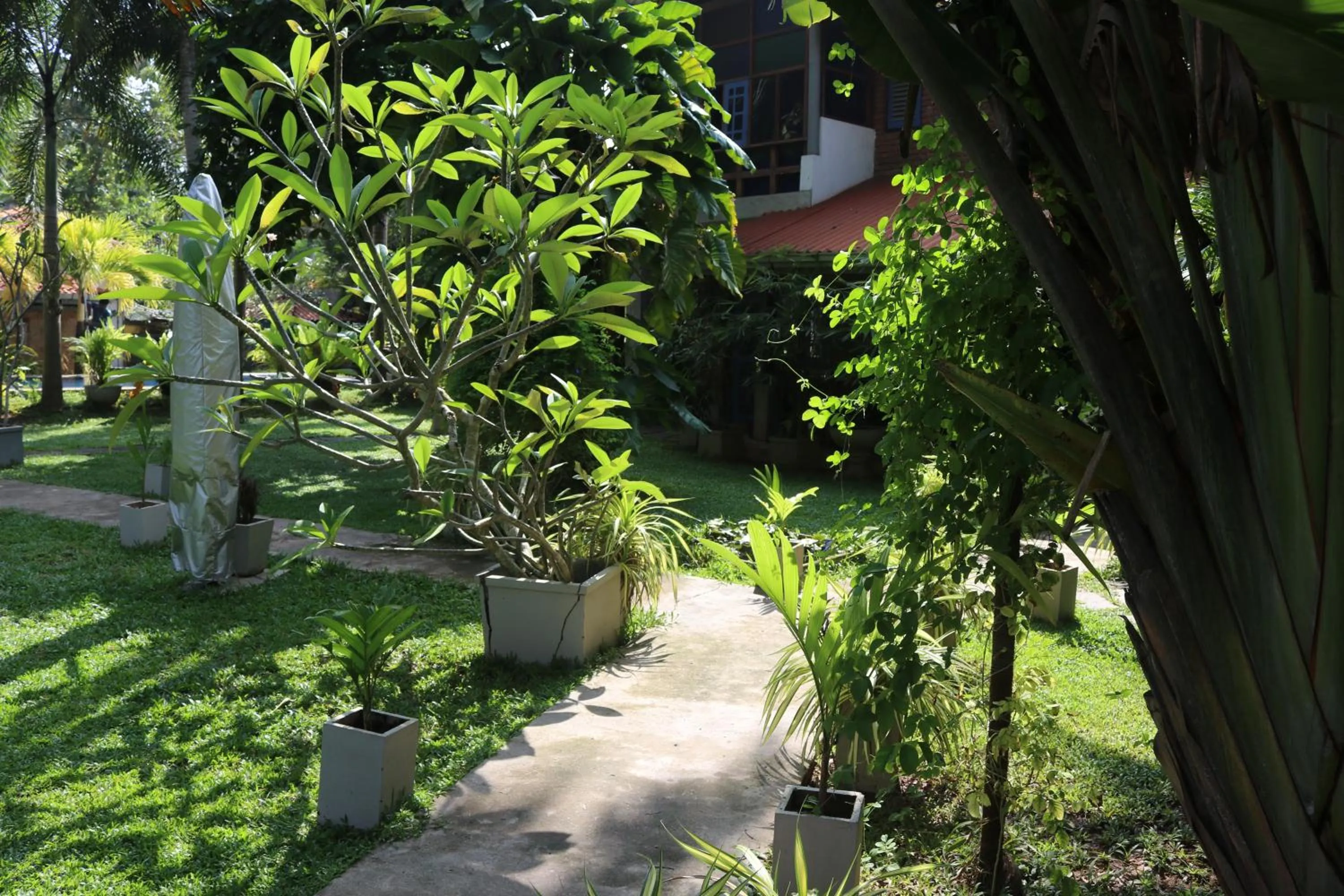 Garden in Pavana Hotel