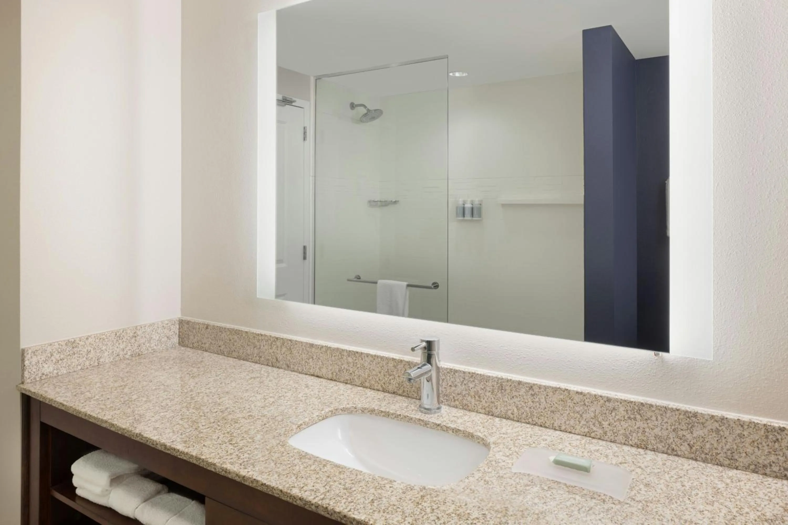 Bathroom in Residence Inn by Marriott Orlando Downtown