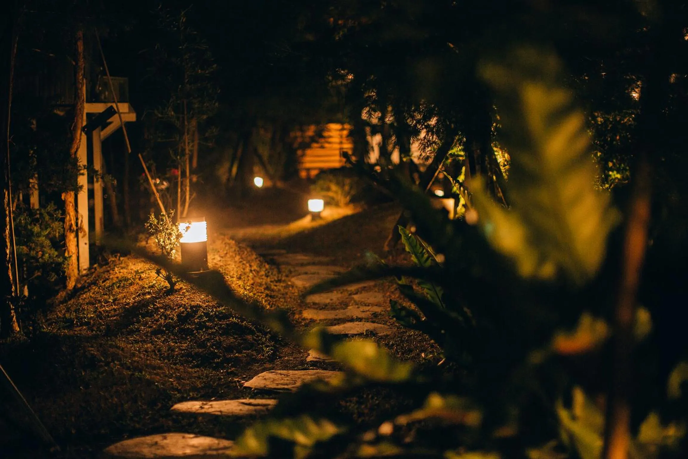 Look Bed and Breakfast