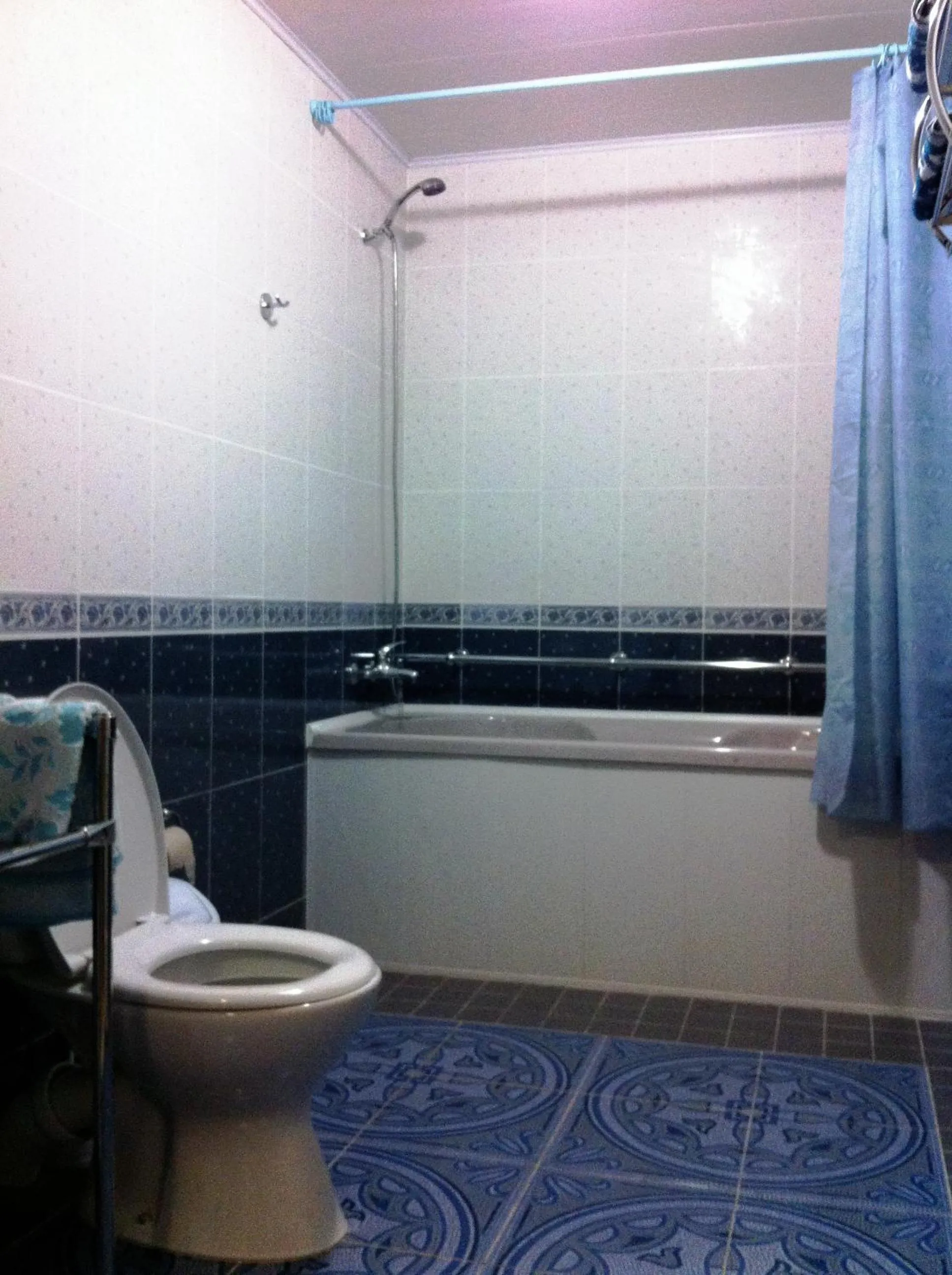 Toilet in Motel Poltava
