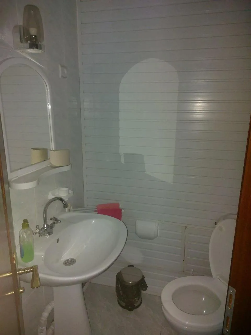 Toilet in Motel Poltava