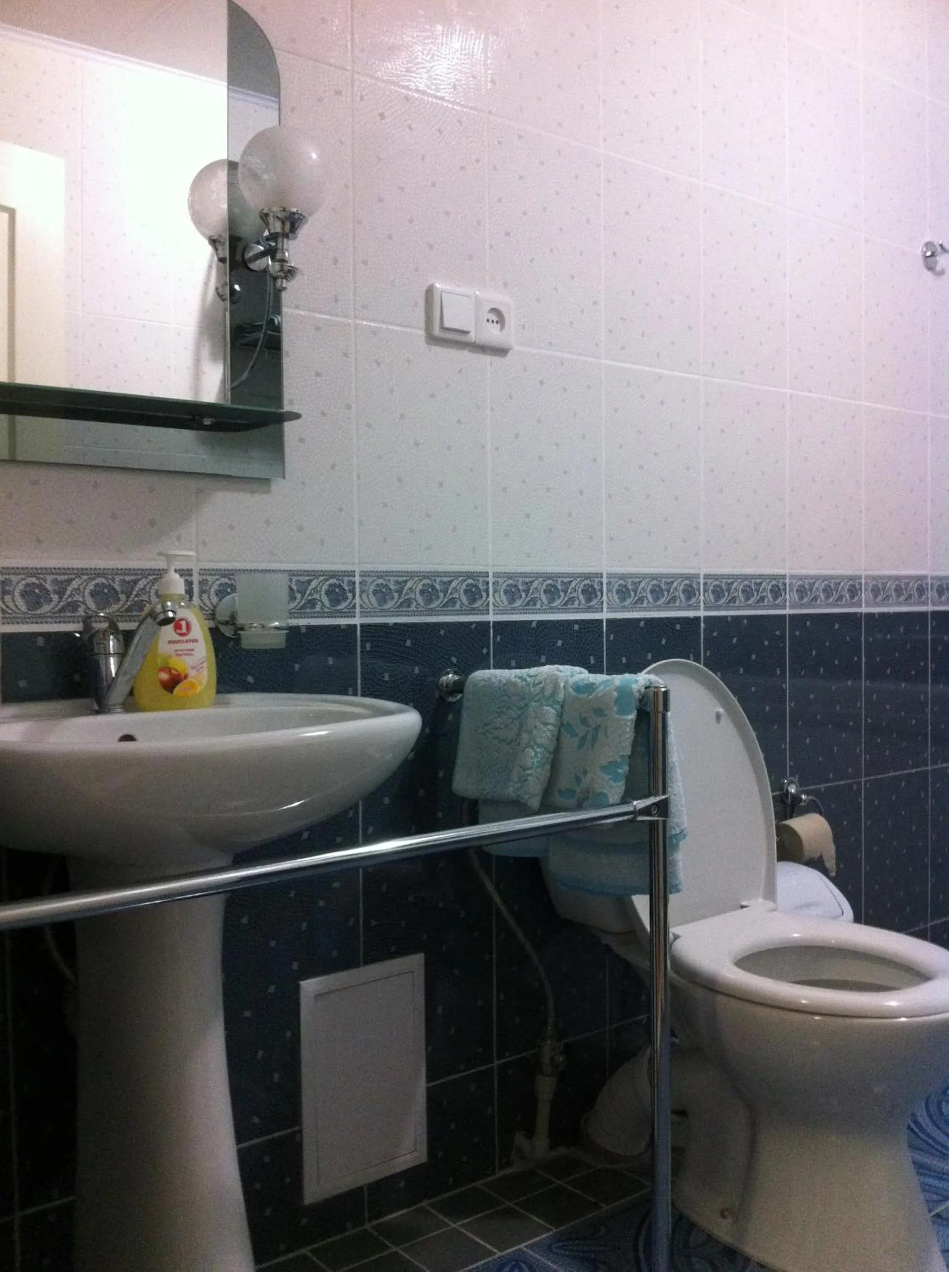 Toilet in Motel Poltava