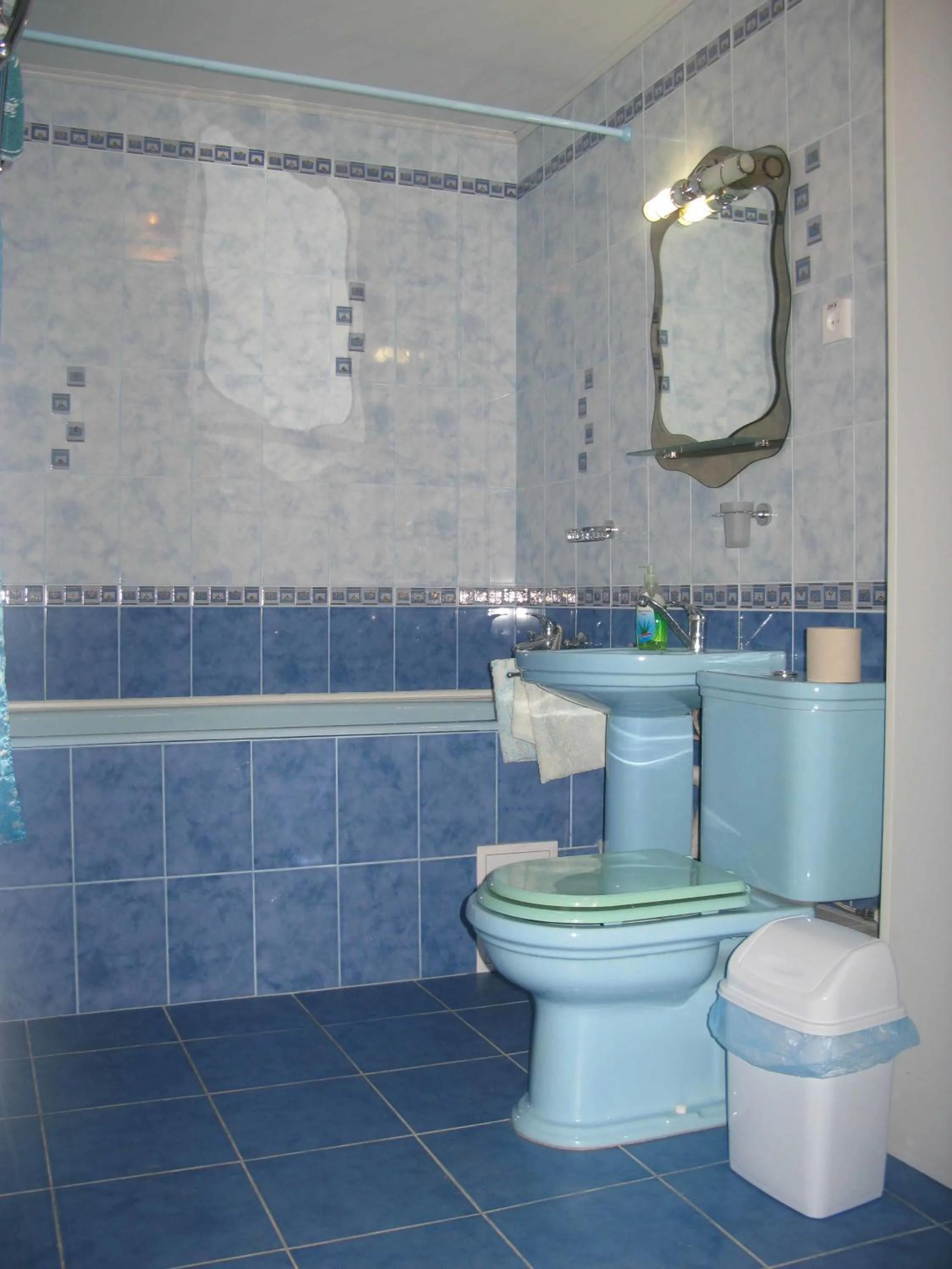 Toilet in Motel Poltava