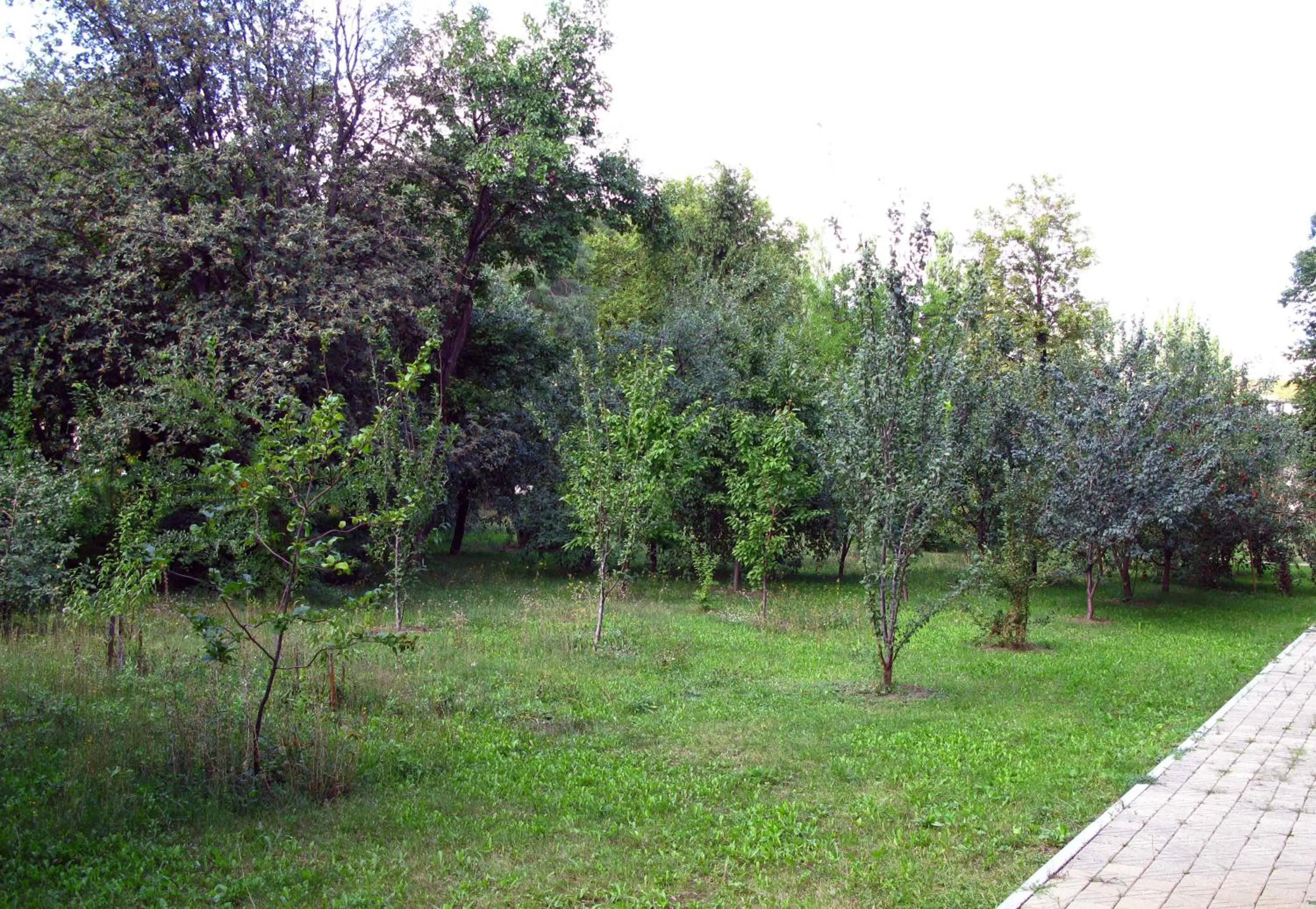 Garden view in Motel Poltava