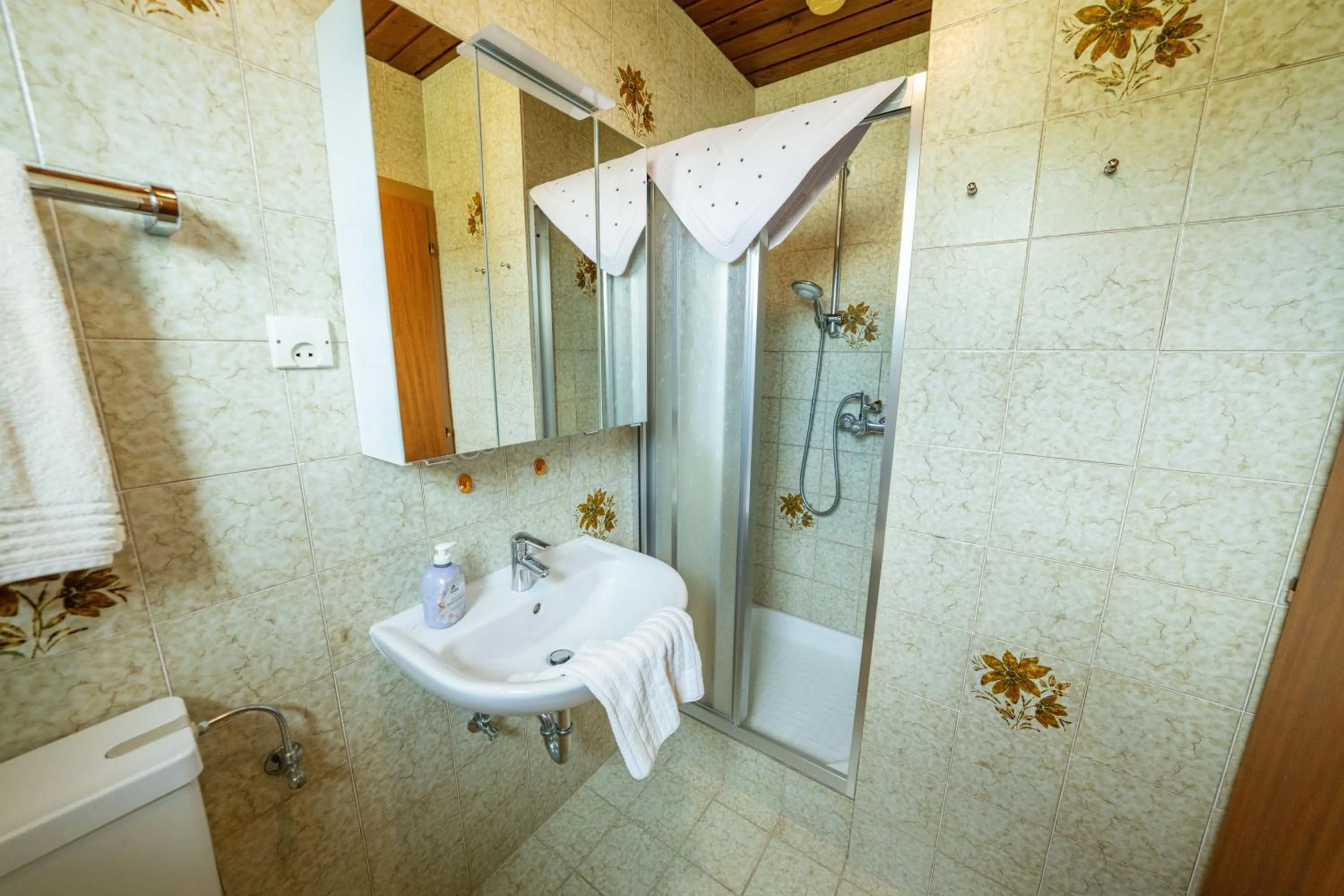 Toilet in Haus Golker Ferienwohnungen & Frühstückspension