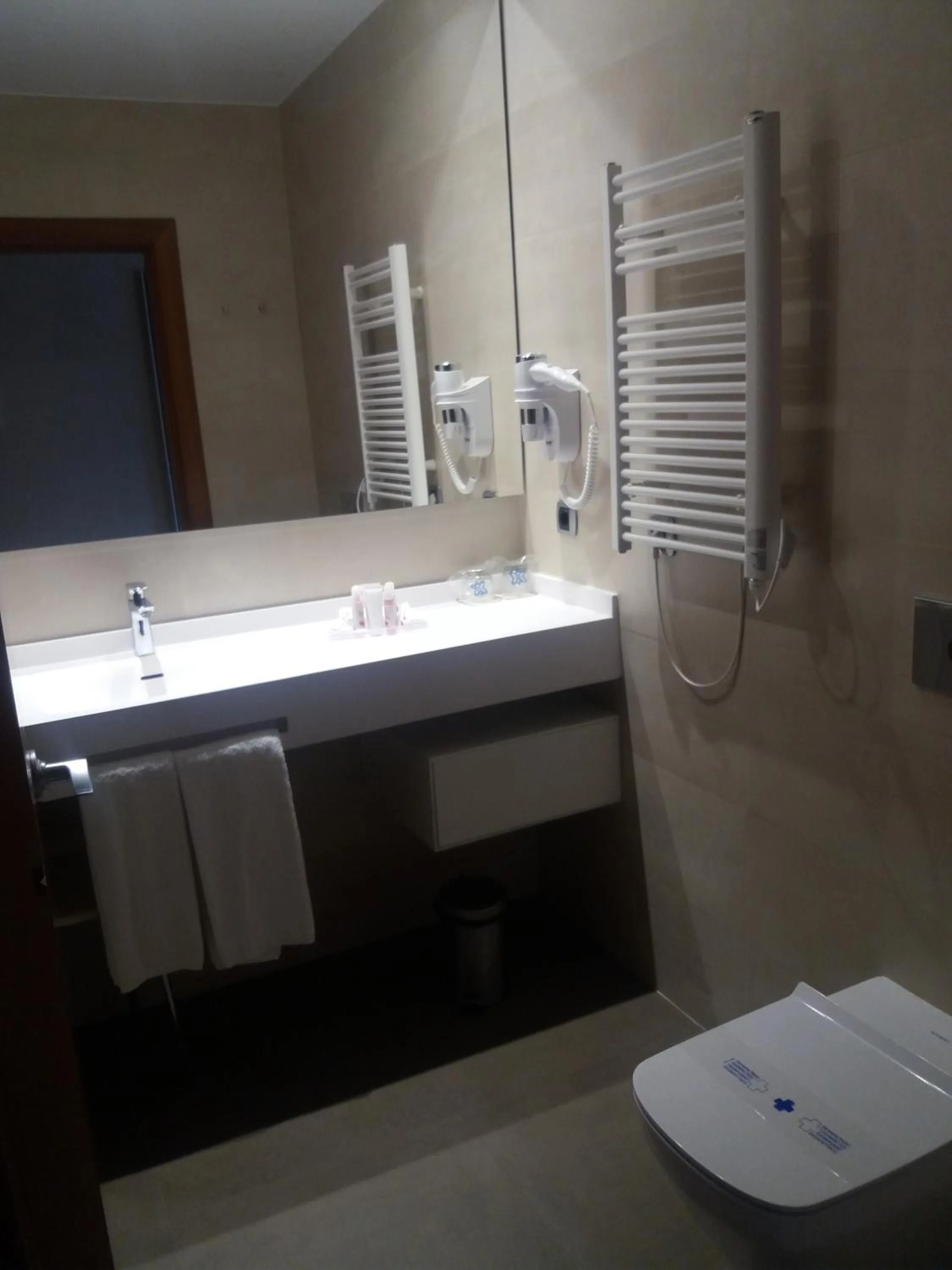 Toilet in Hotel Balneario Valle del Jerte