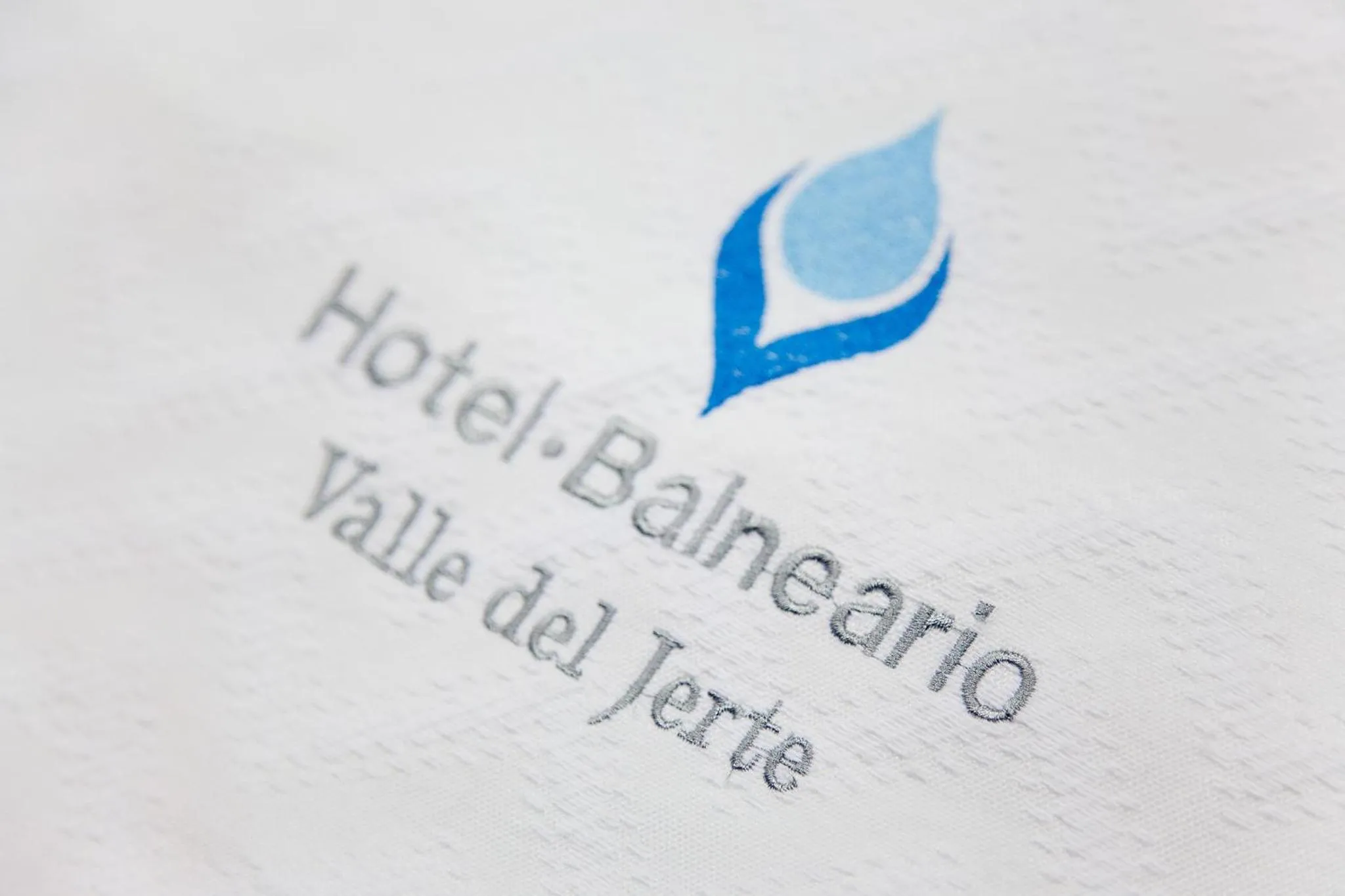 Property logo or sign in Hotel Balneario Valle del Jerte