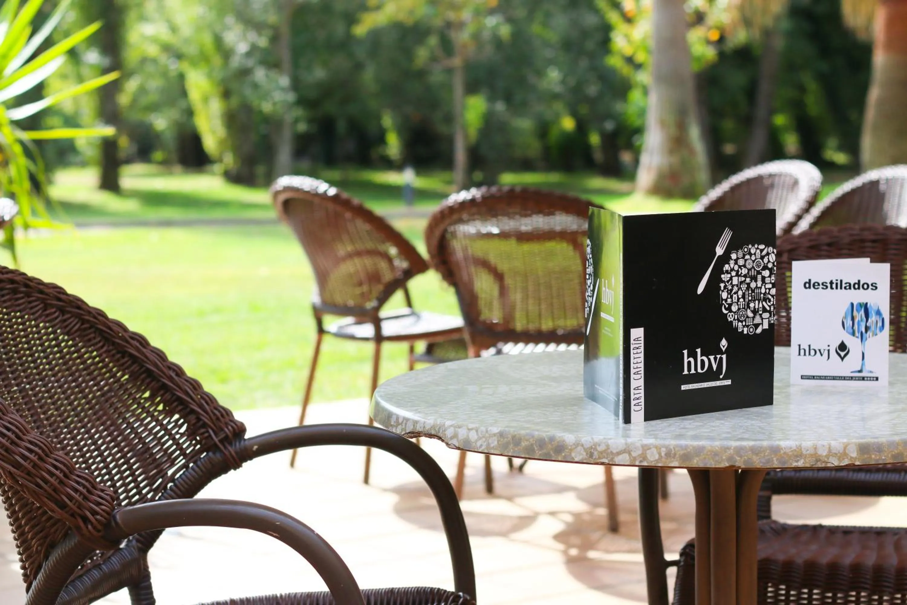 Lounge or bar in Hotel Balneario Valle del Jerte