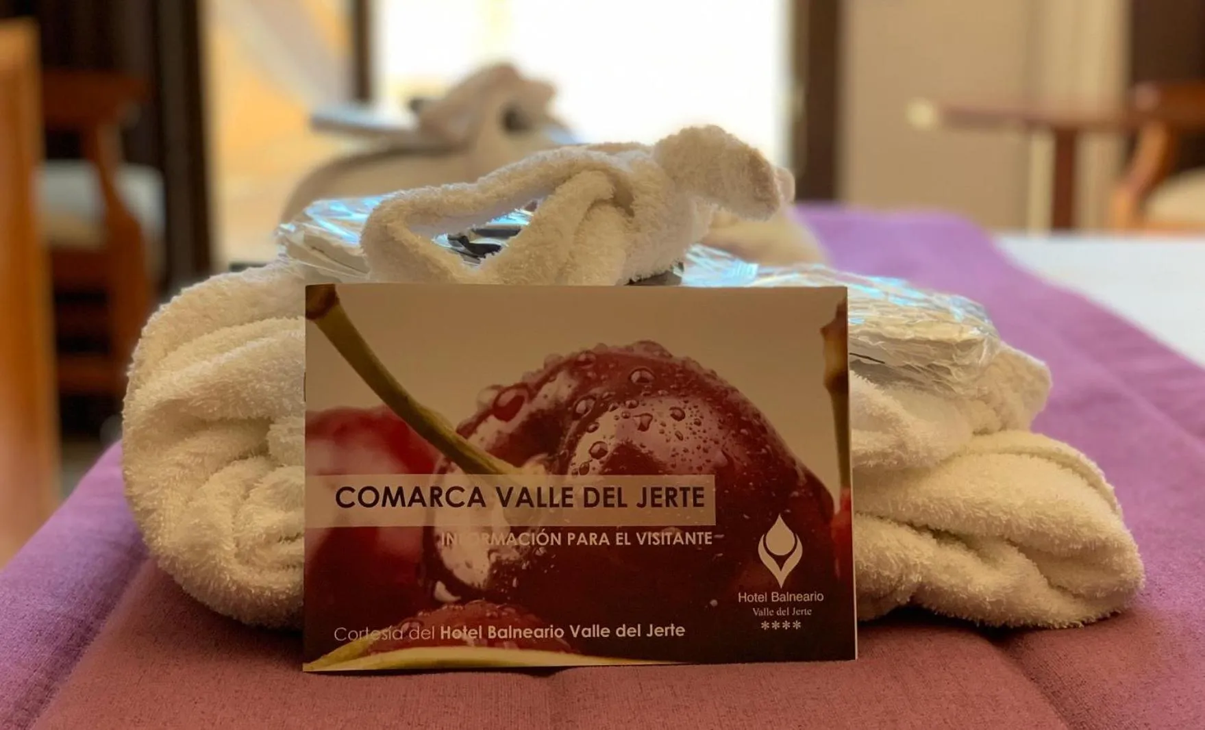 Decorative detail, Bed in Hotel Balneario Valle del Jerte