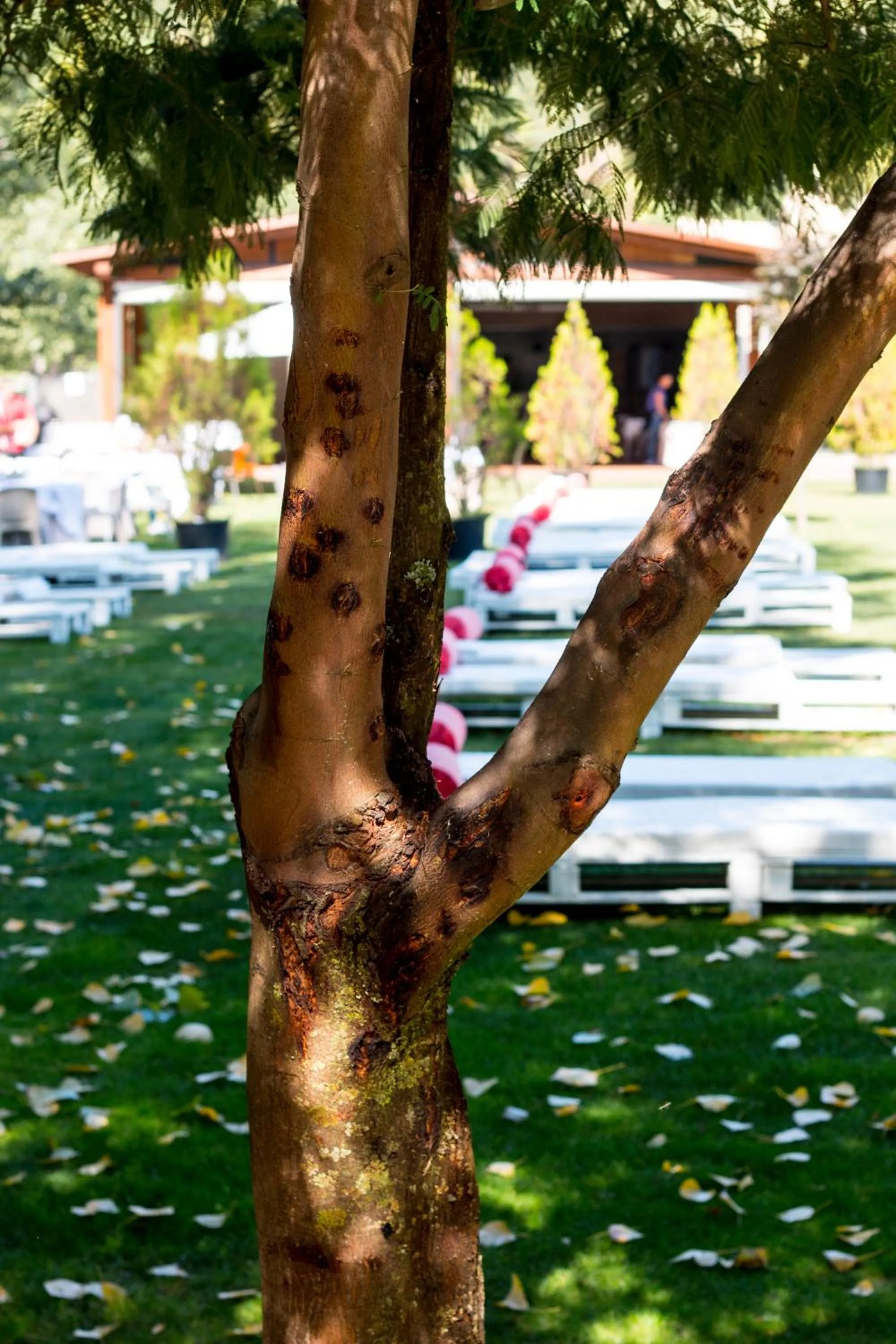 Garden in Hotel Balneario Valle del Jerte