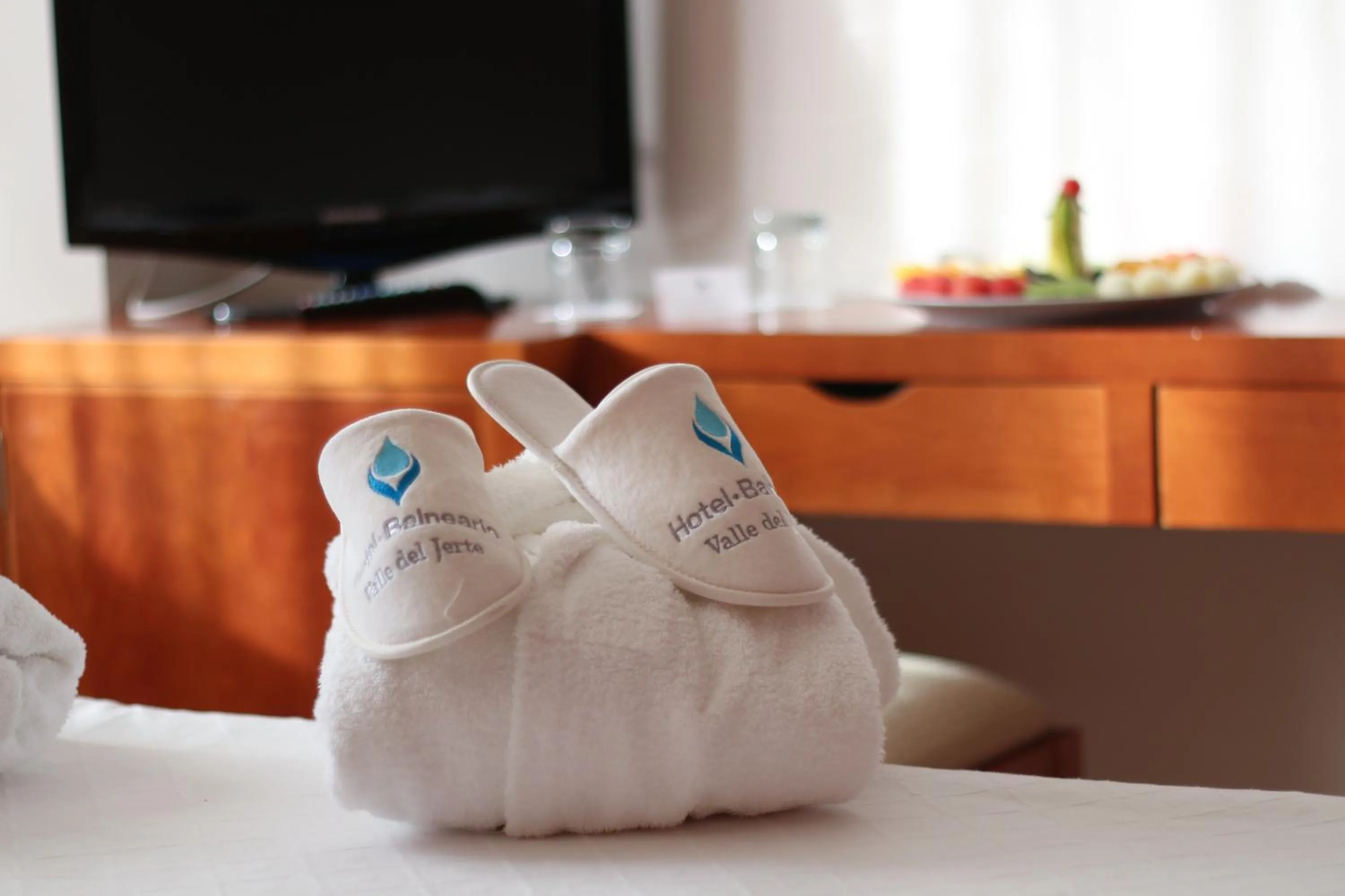 Decorative detail in Hotel Balneario Valle del Jerte