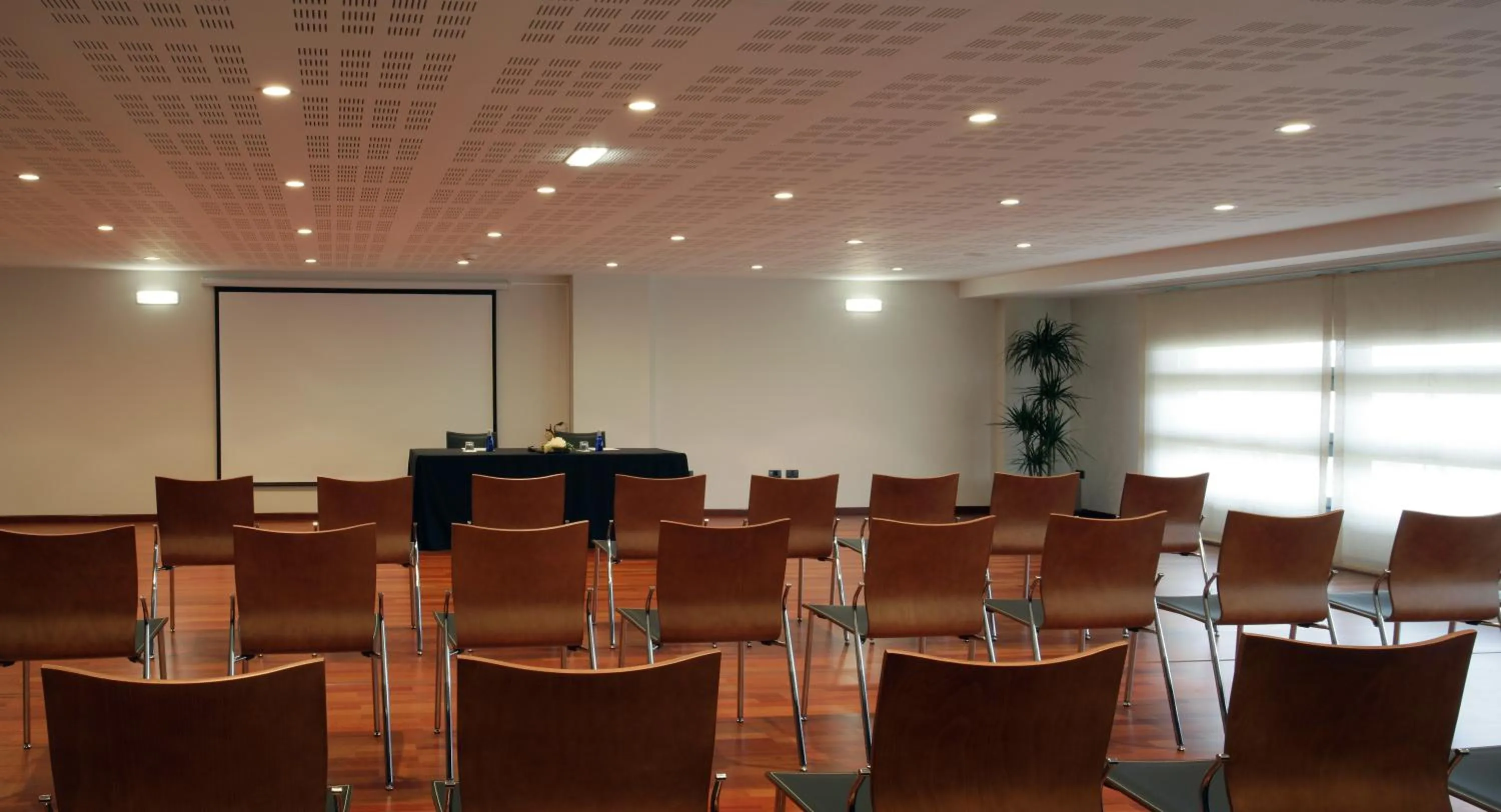 Business facilities in Hotel Europa
