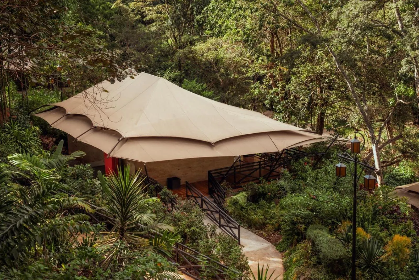 Spring in Pax Manor Muthaiga