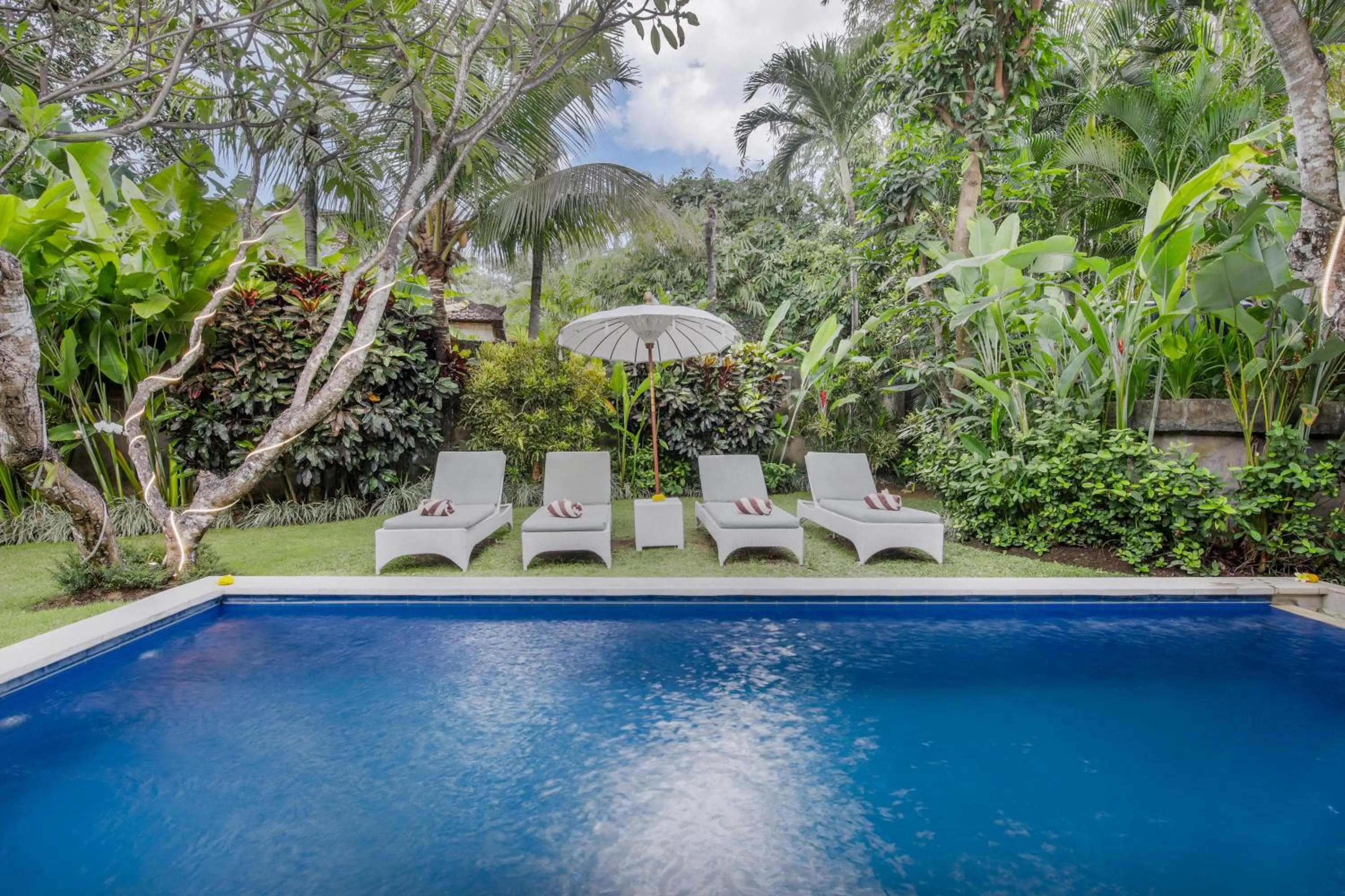 Garden in Villa Lodek Deluxe