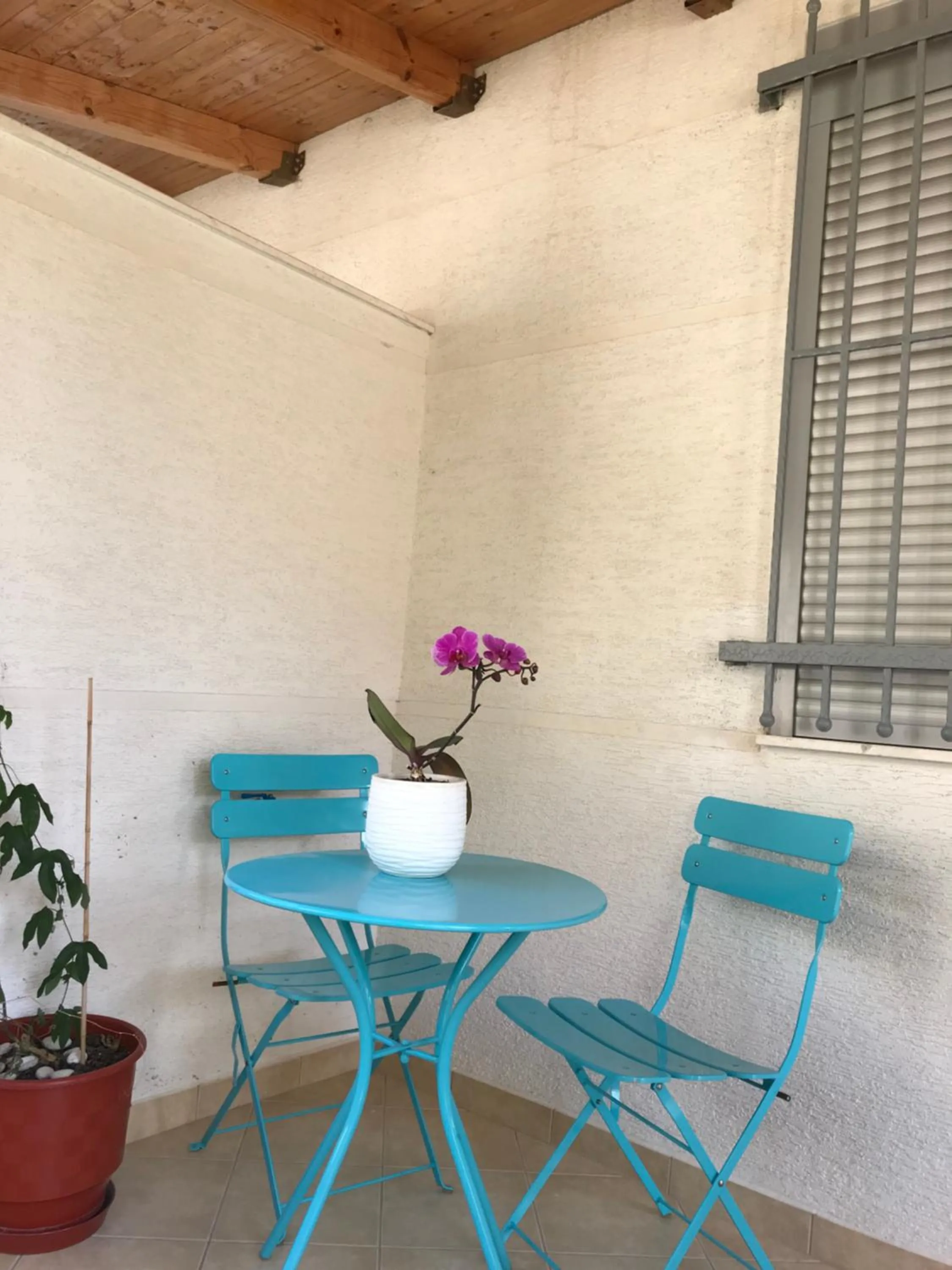 White Jasmine Apartment