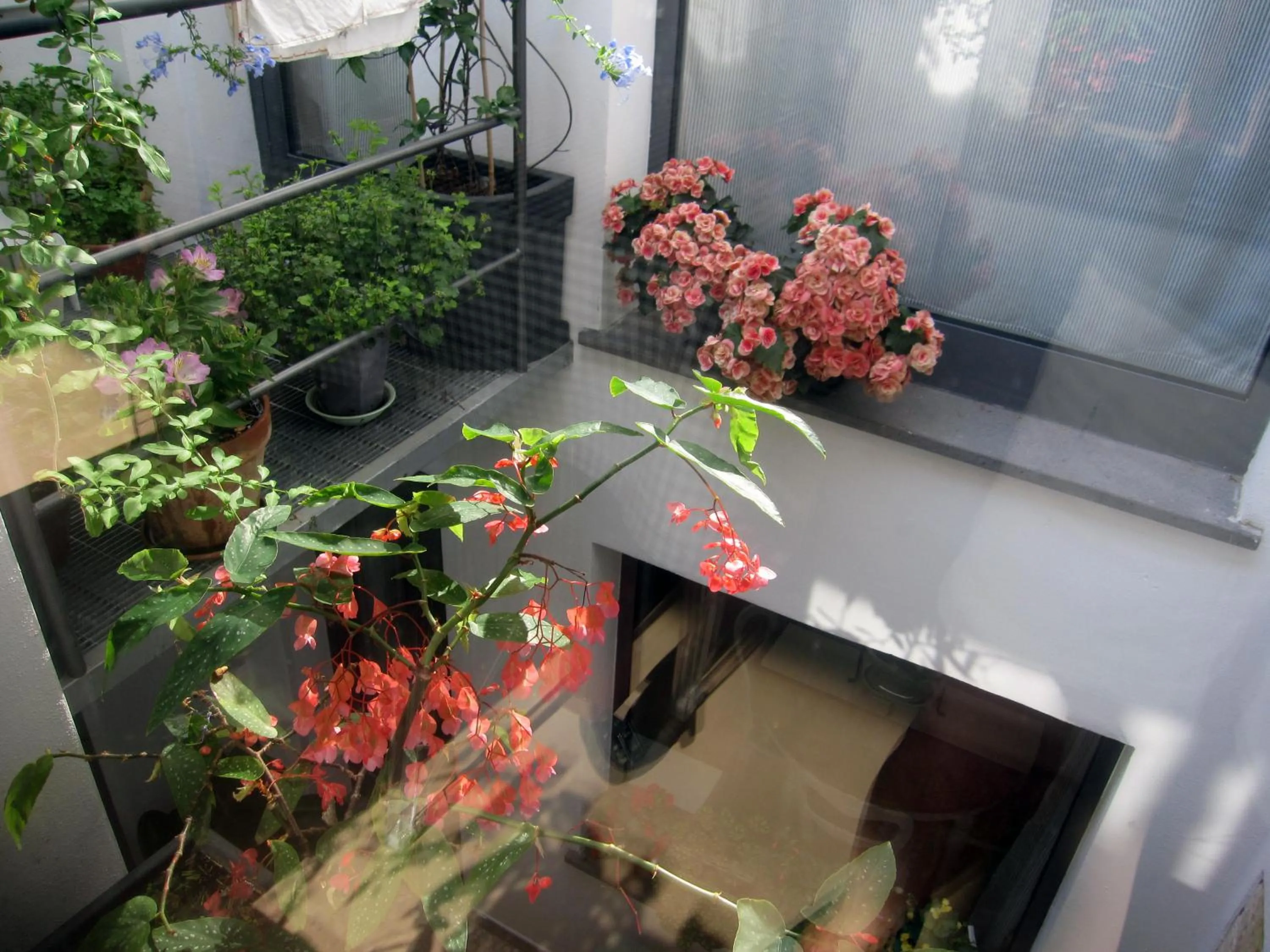 Balcony/Terrace in Brancadoria B&B