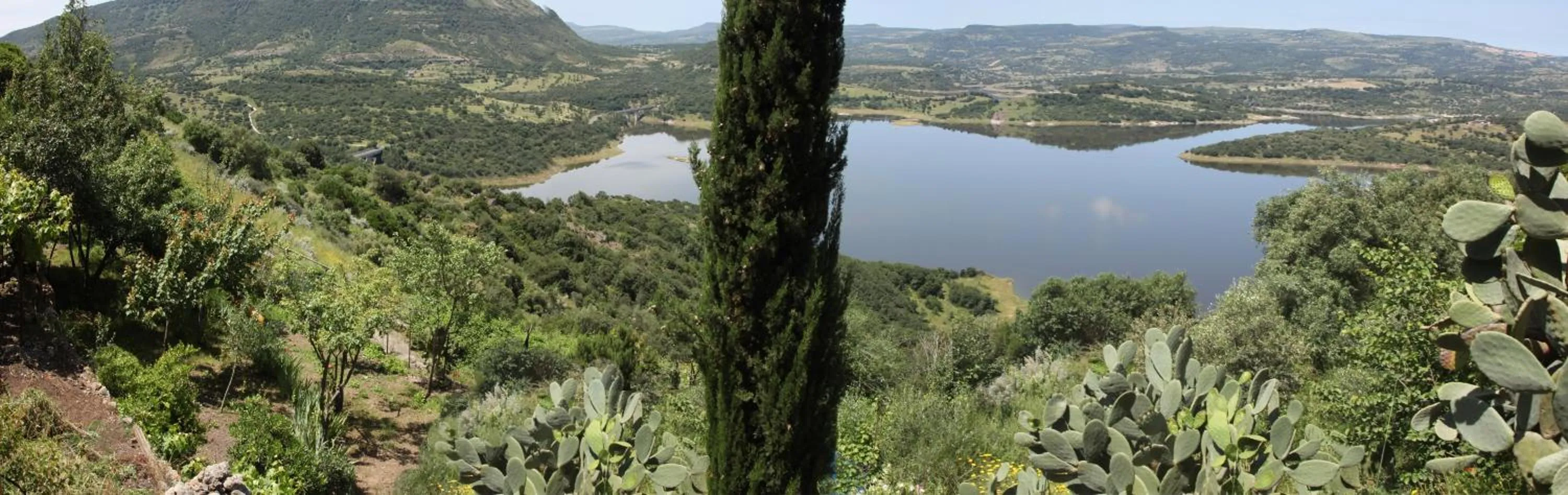 Garden in Brancadoria B&B