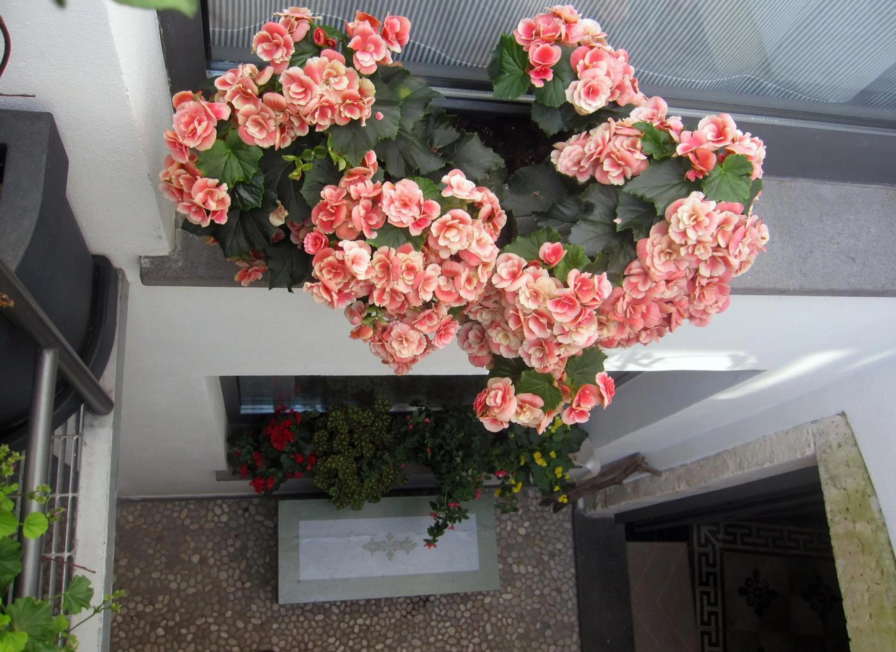 Patio in Brancadoria B&B