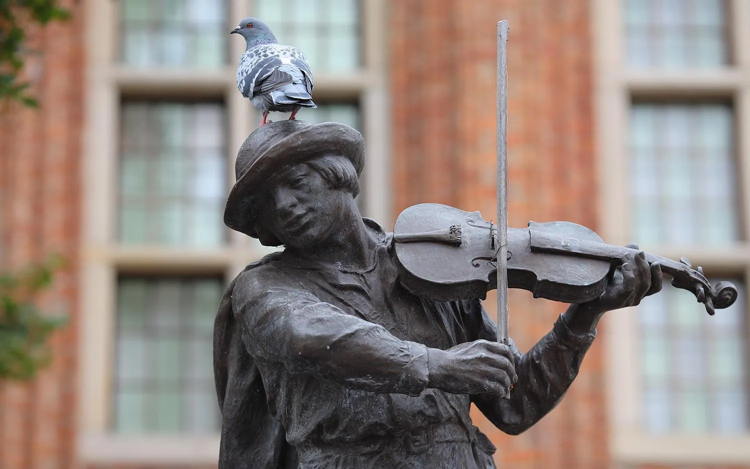 Off site in Apartament Toruń