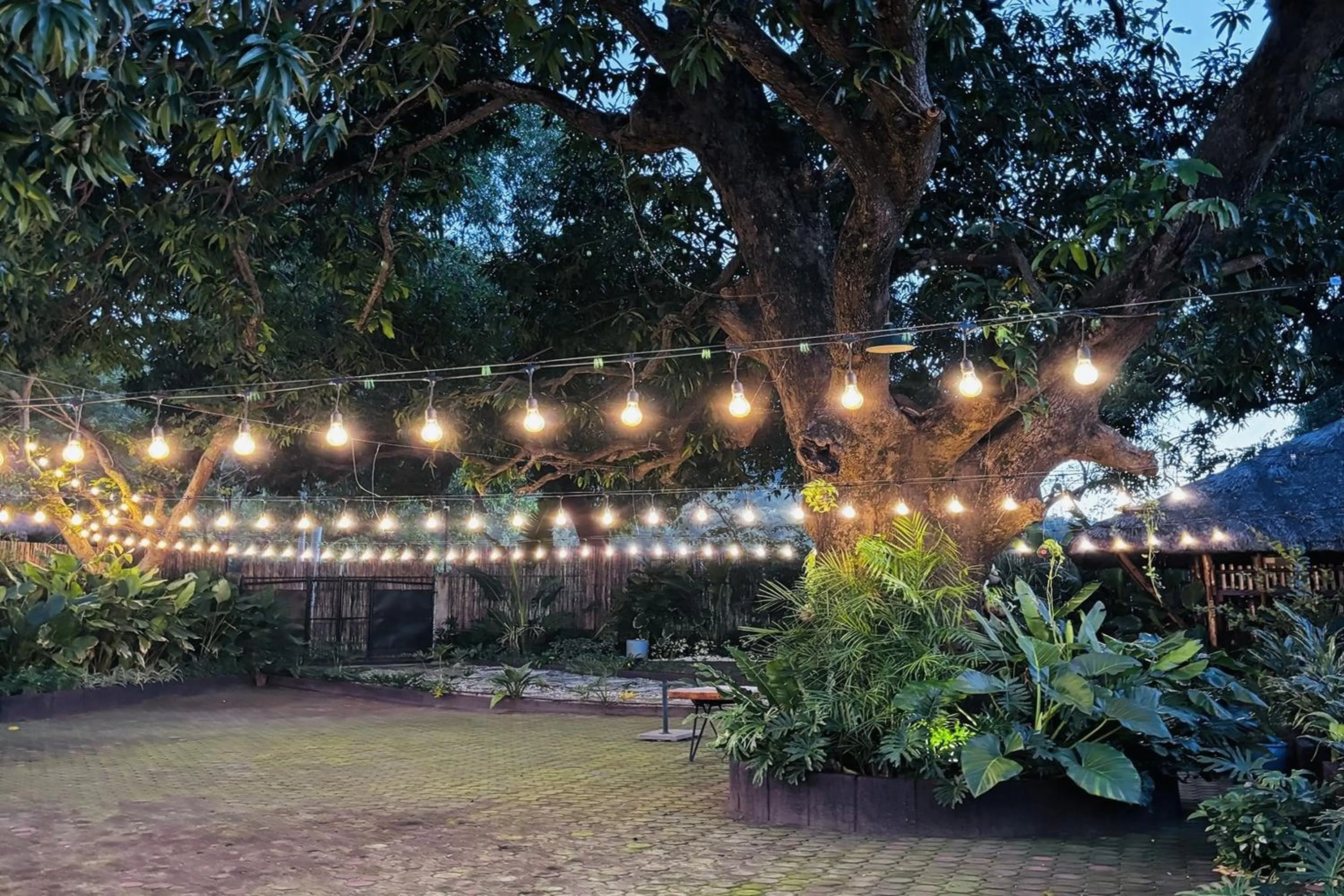 Lobby or reception in Balai Balatong Ilocos near Laoag Airport