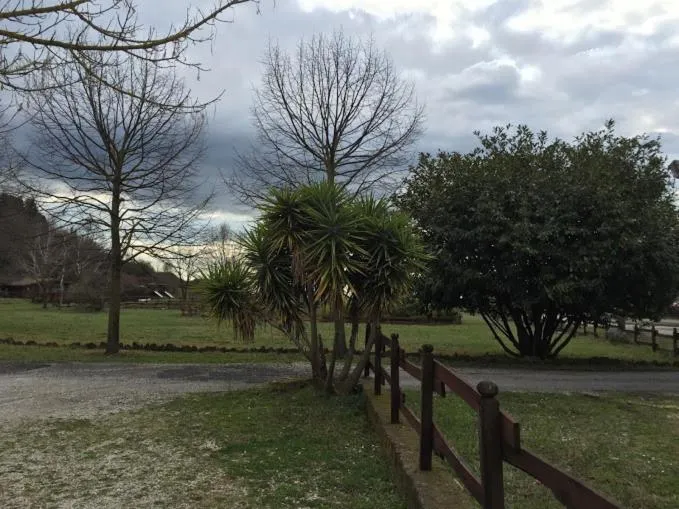 Day in Agriturismo Monte Due Torri